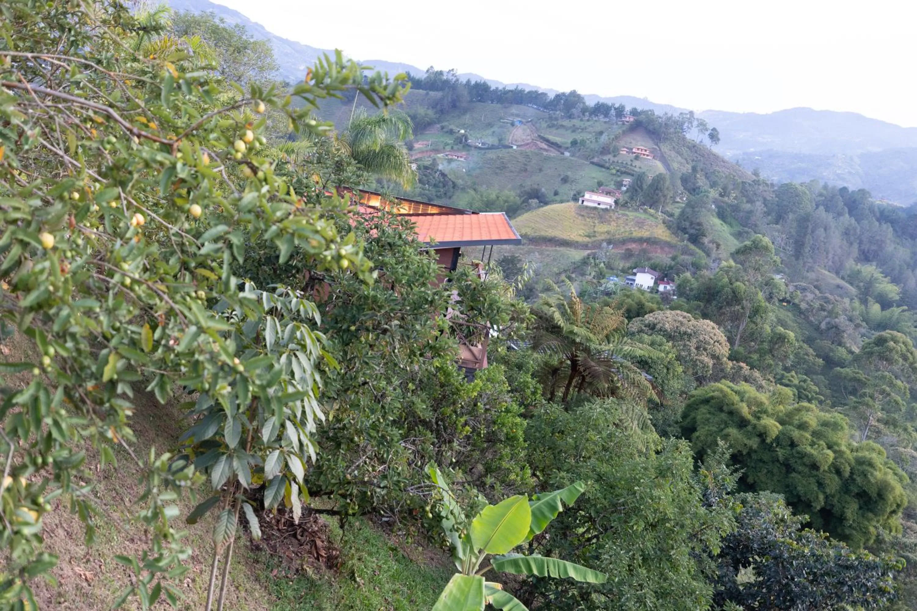 Spring in Roots Eco House