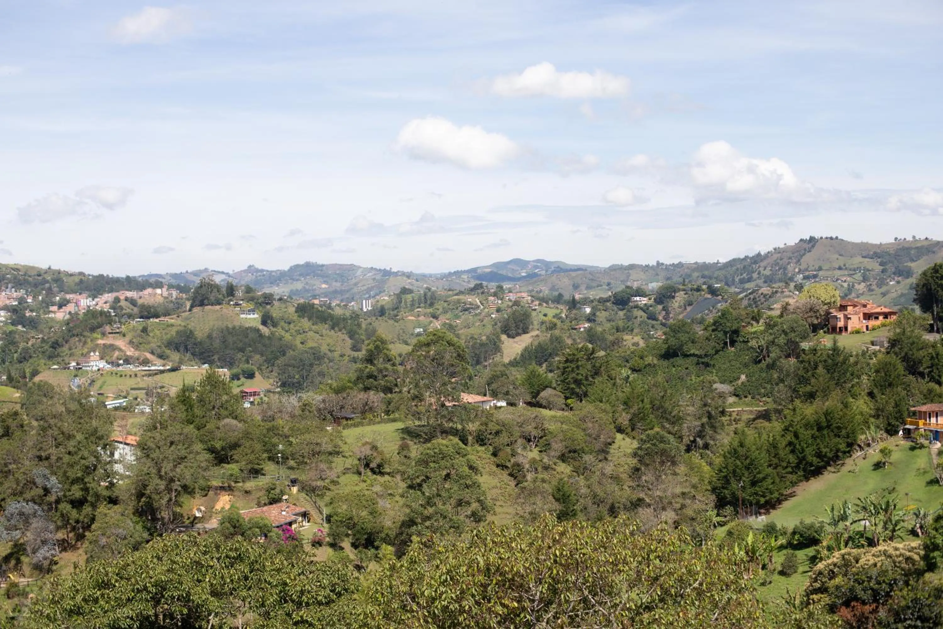 Bird's eye view in Roots Eco House