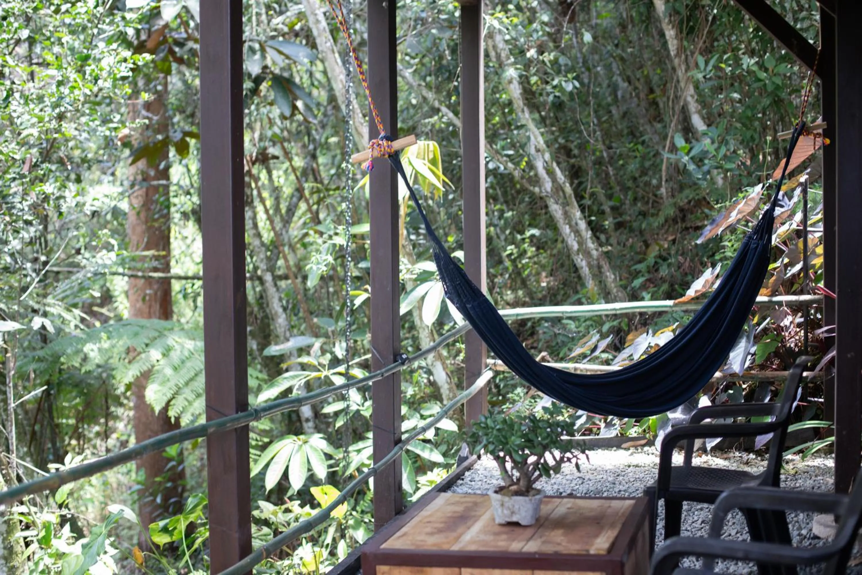 Spring in Roots Eco House