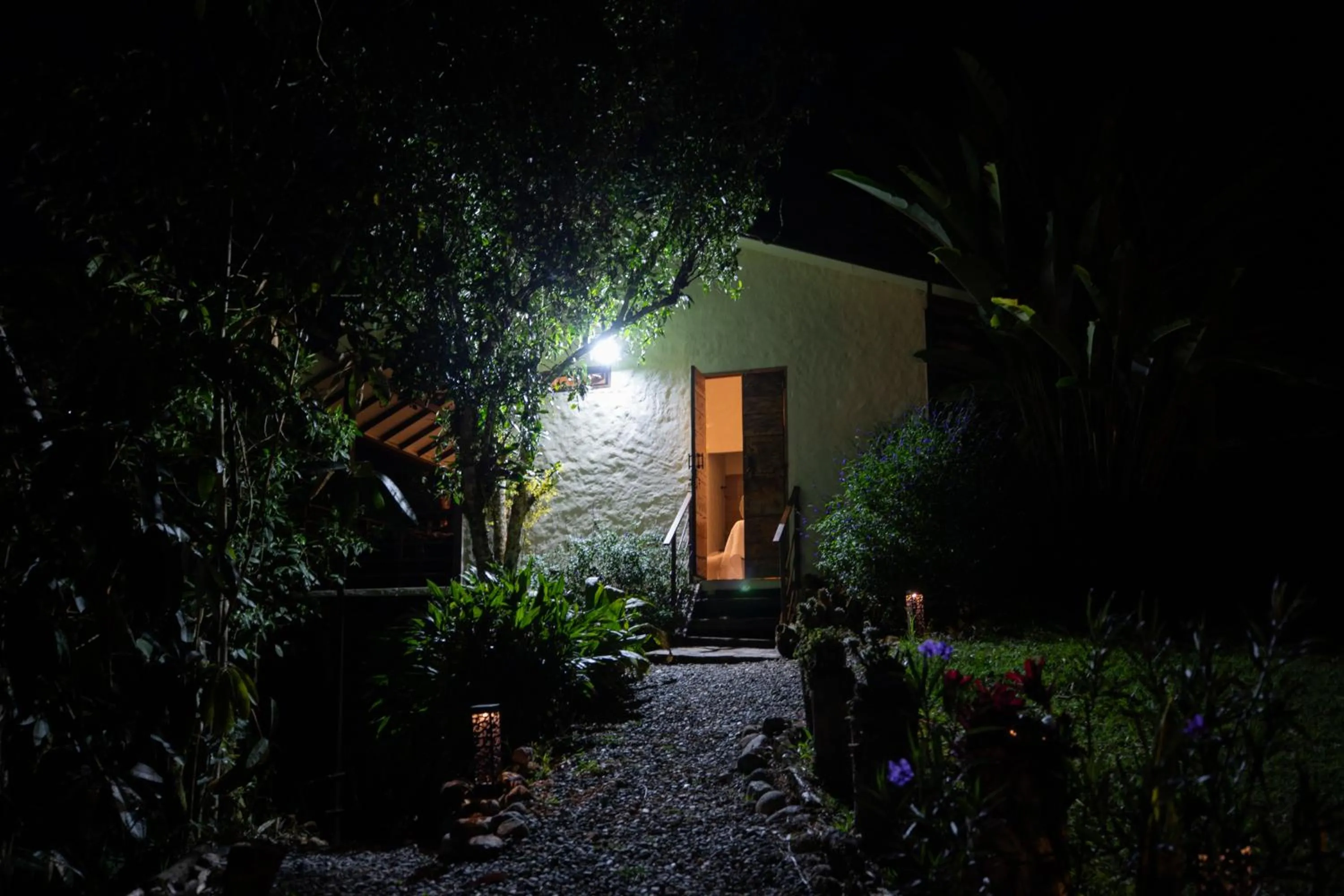 Property building in Roots Eco House