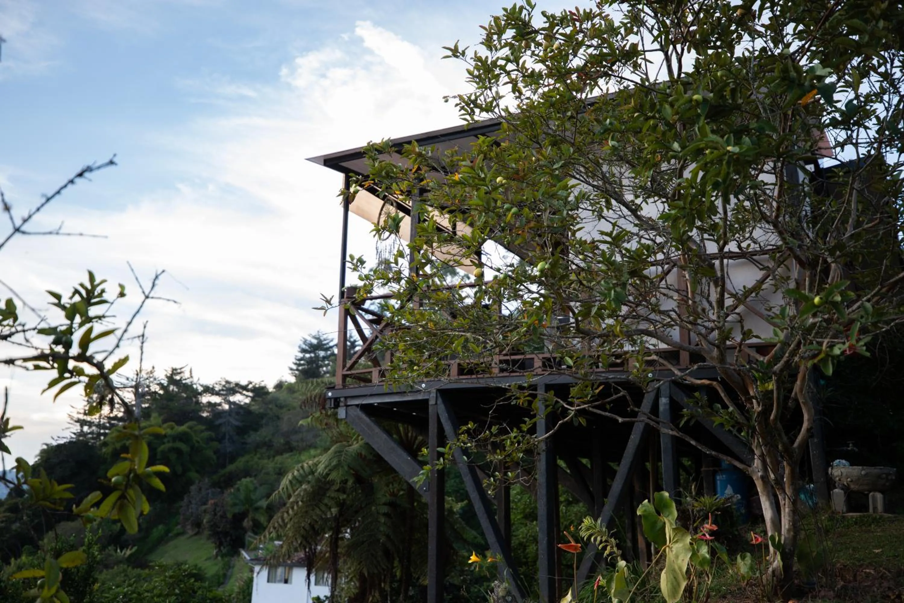 Property building in Roots Eco House