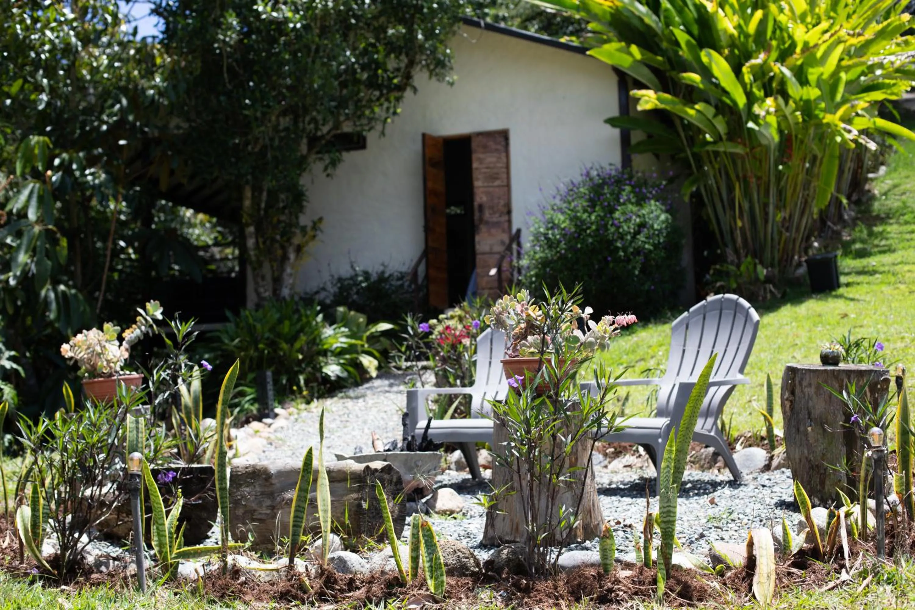 Patio in Roots Eco House