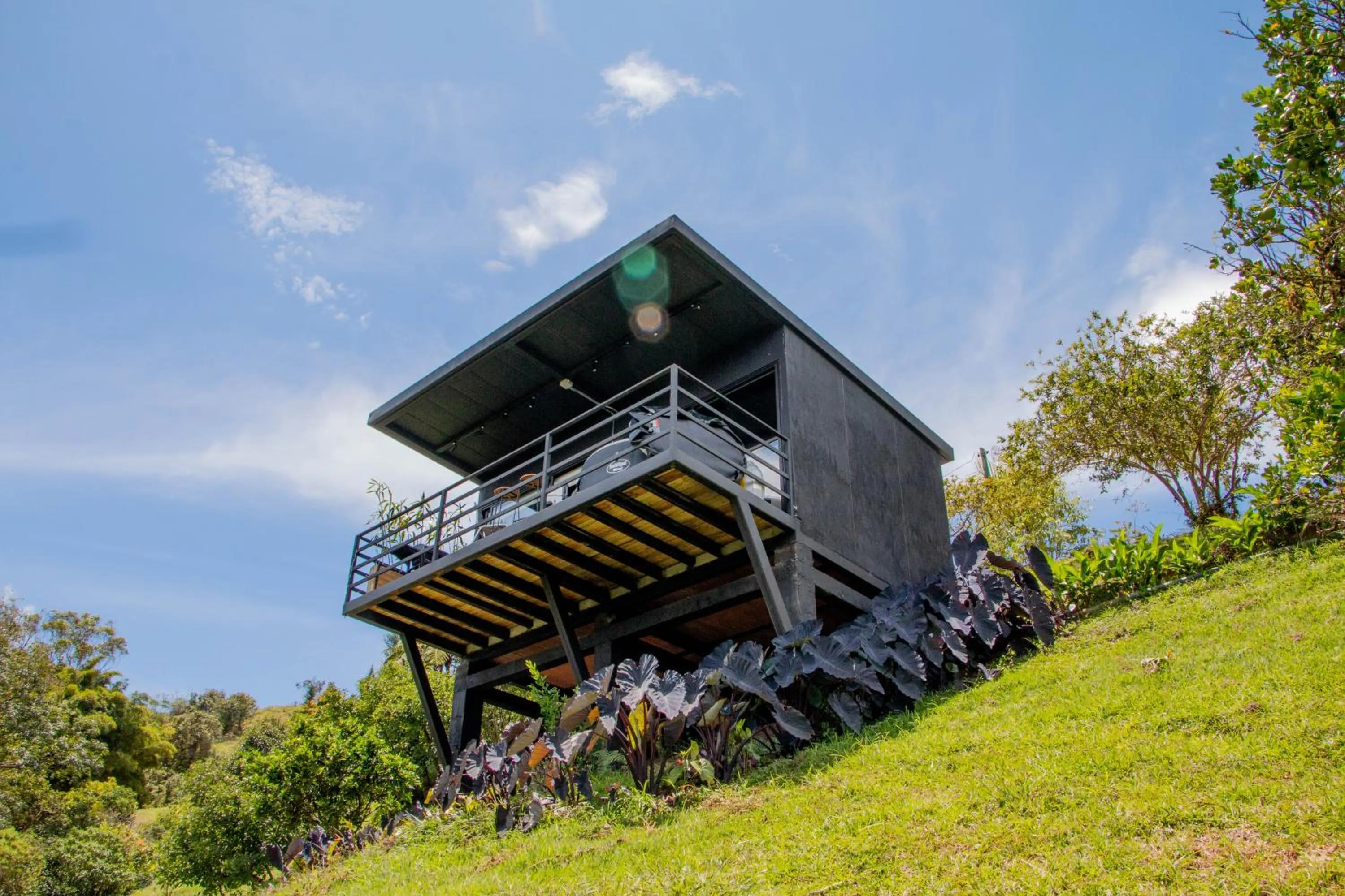 Property building in Roots Eco House