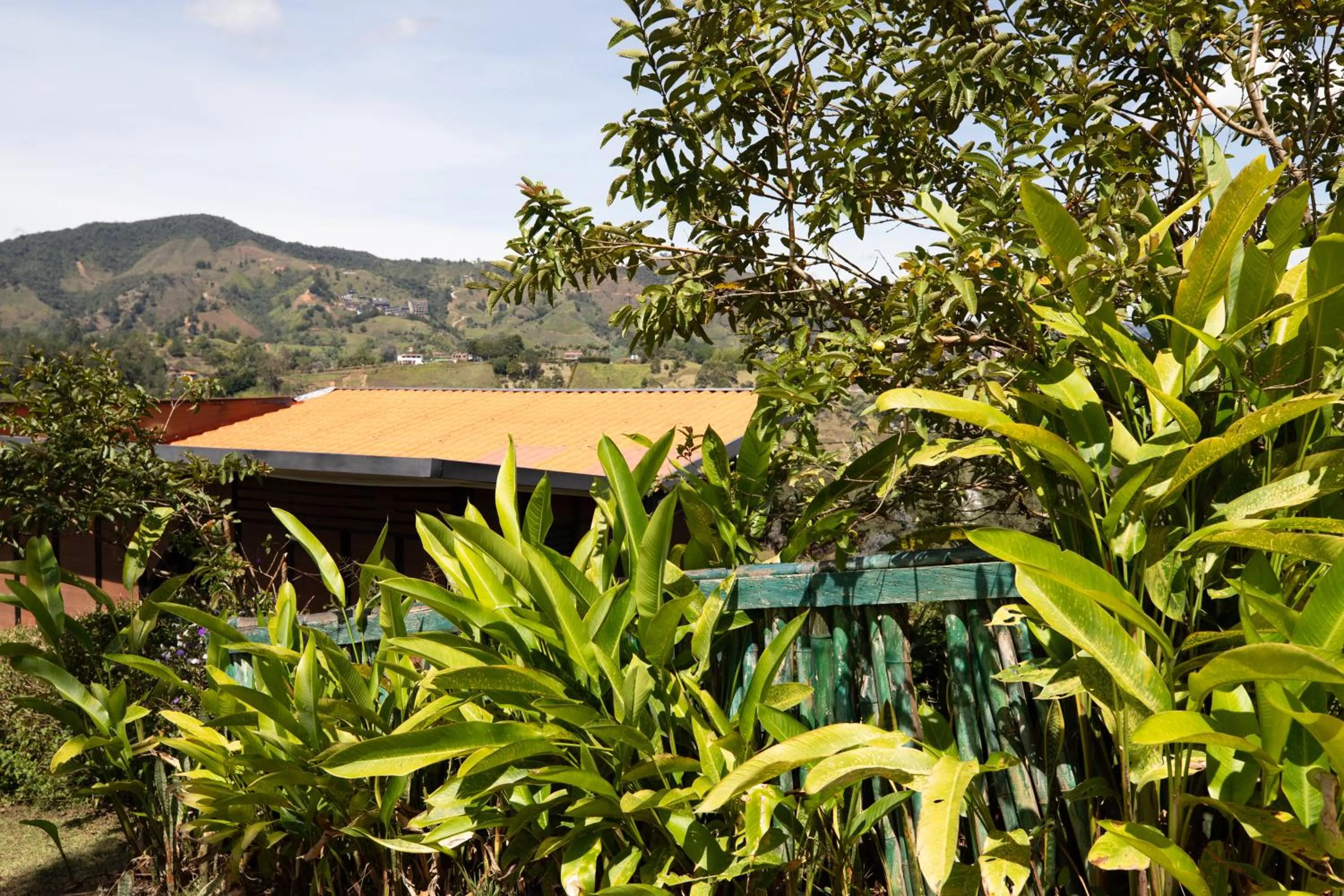 Spring in Roots Eco House