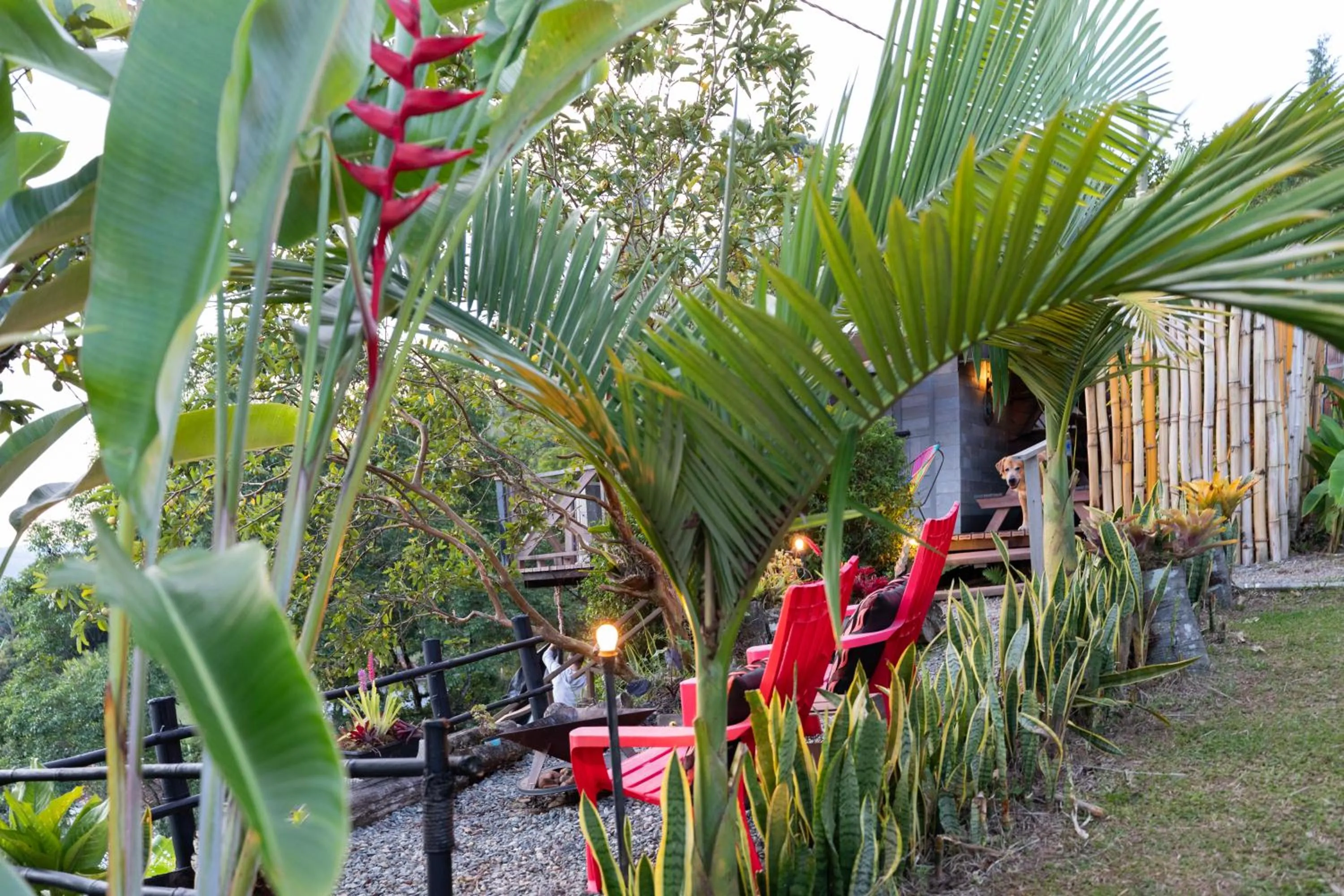 Spring in Roots Eco House