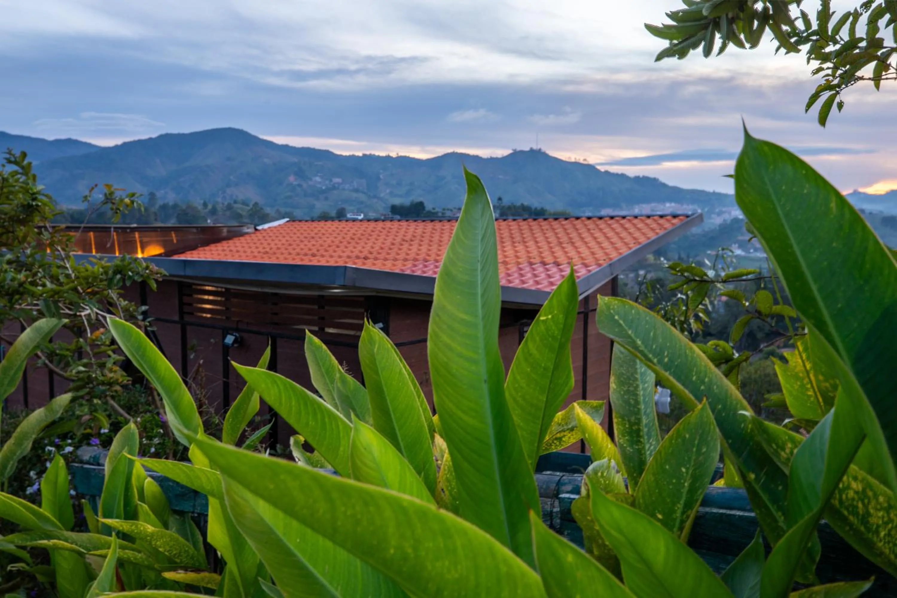 Spring in Roots Eco House