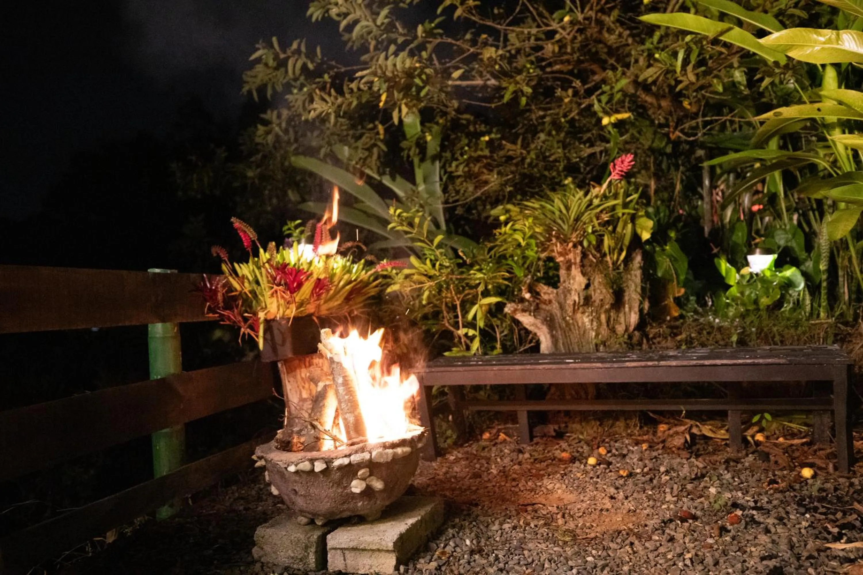 Night in Roots Eco House