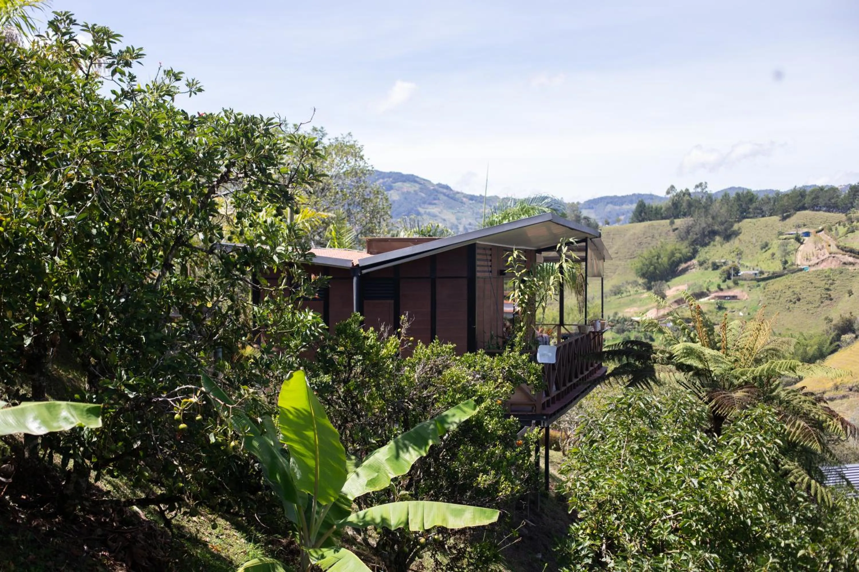 Spring in Roots Eco House