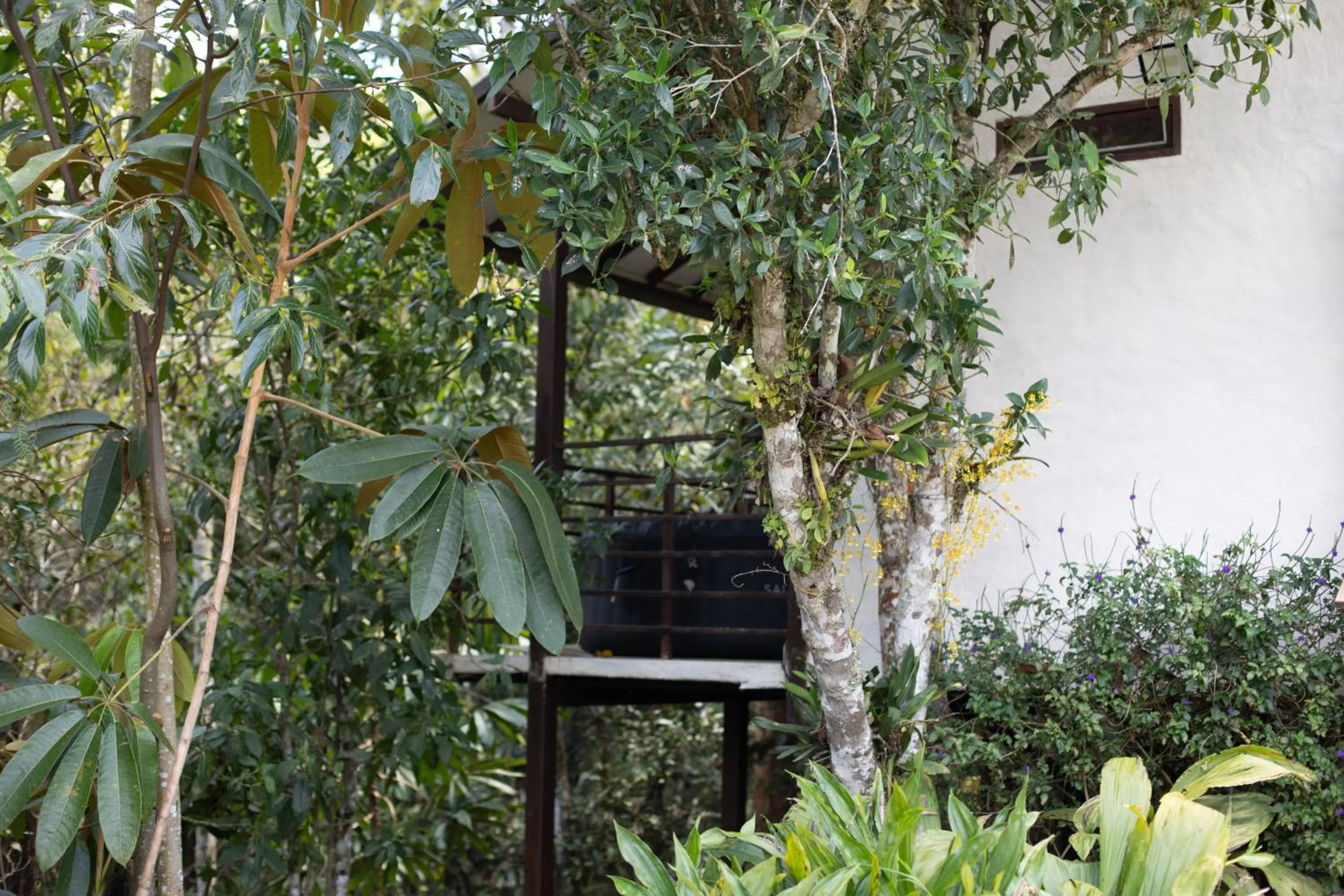 Spring in Roots Eco House