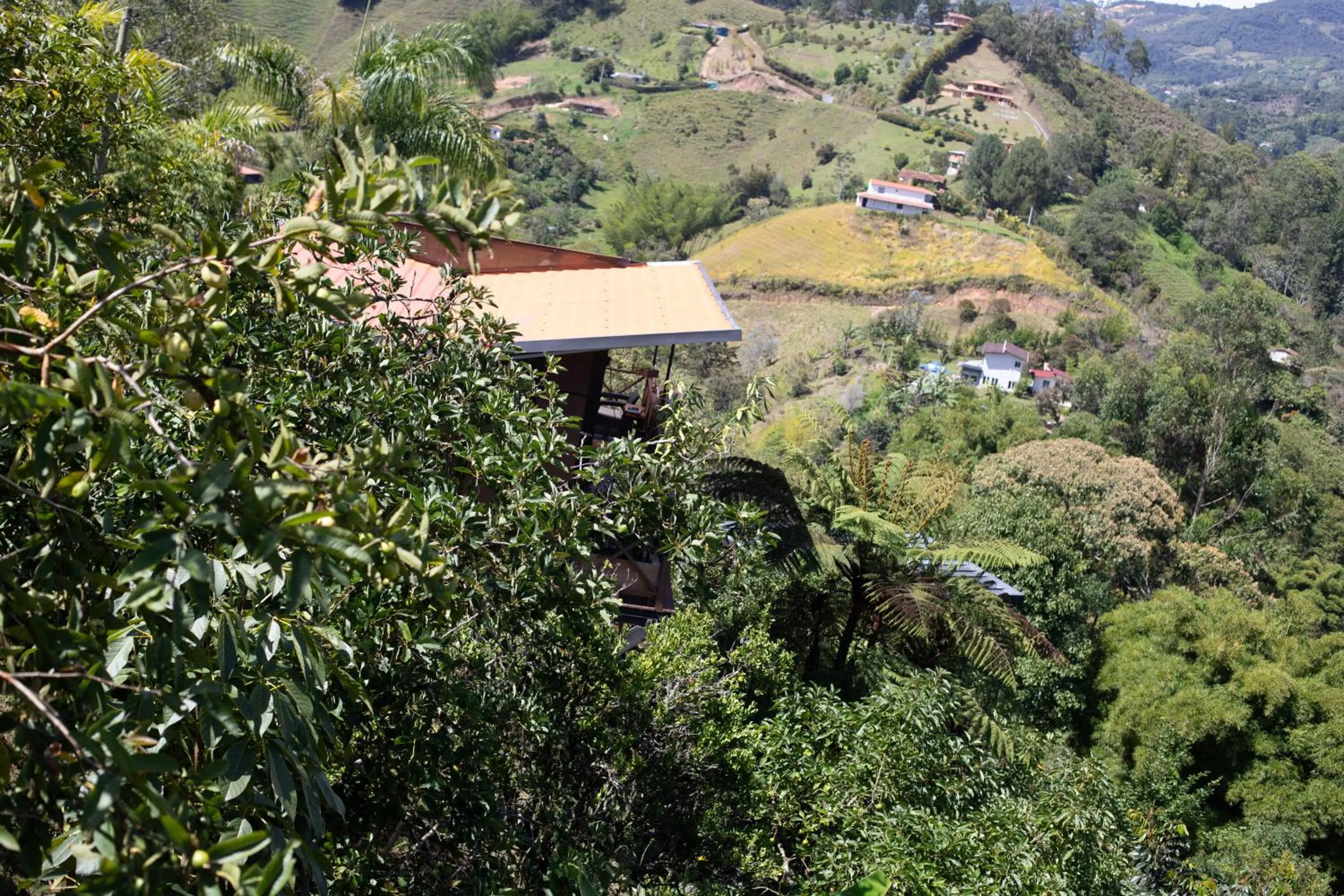 Bird's eye view in Roots Eco House