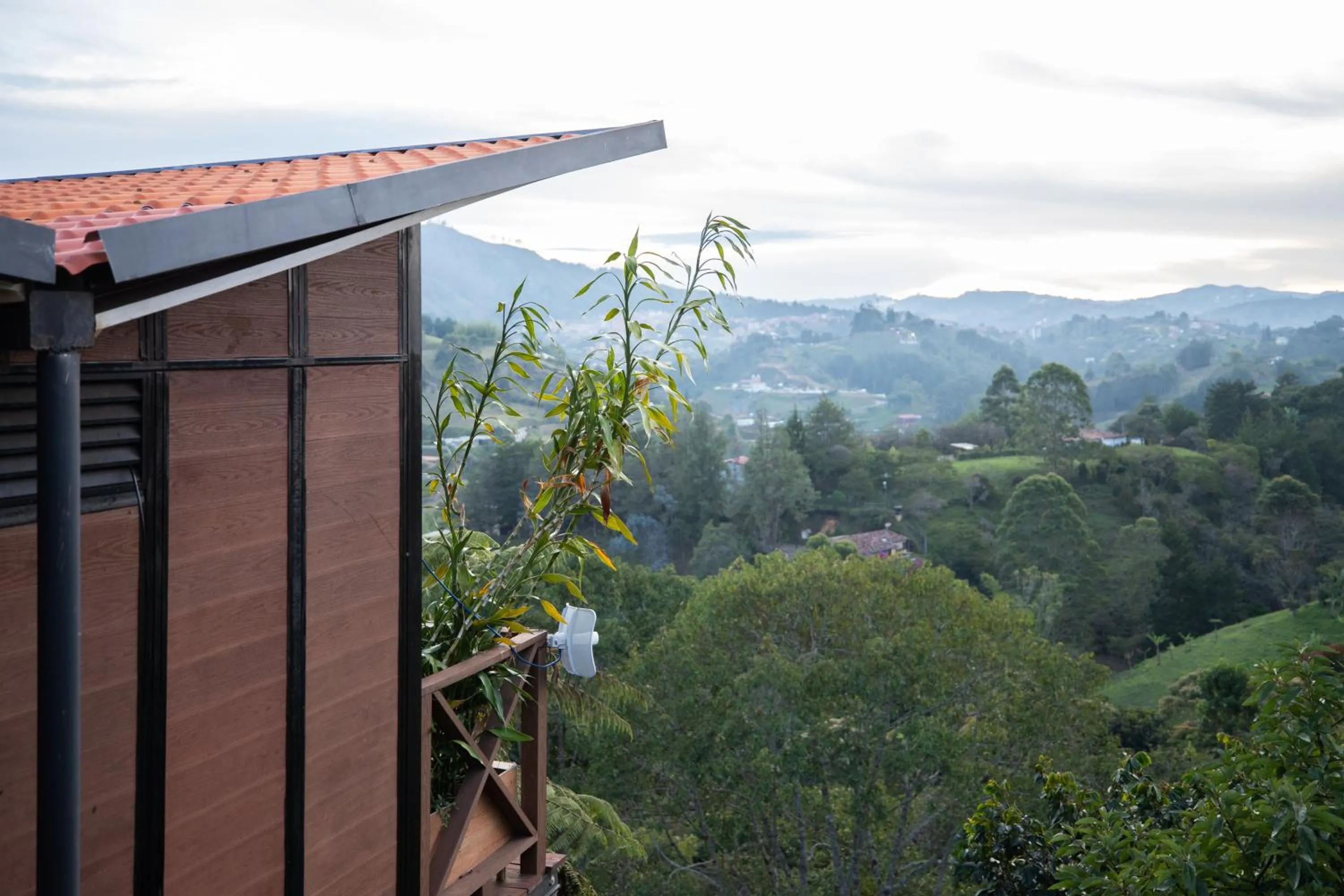 Spring in Roots Eco House