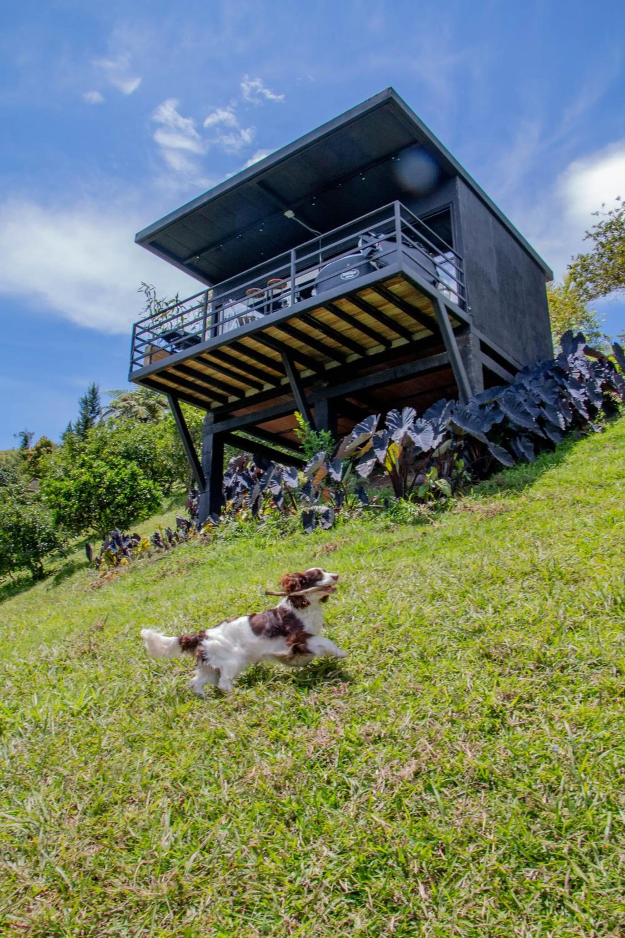Spring in Roots Eco House