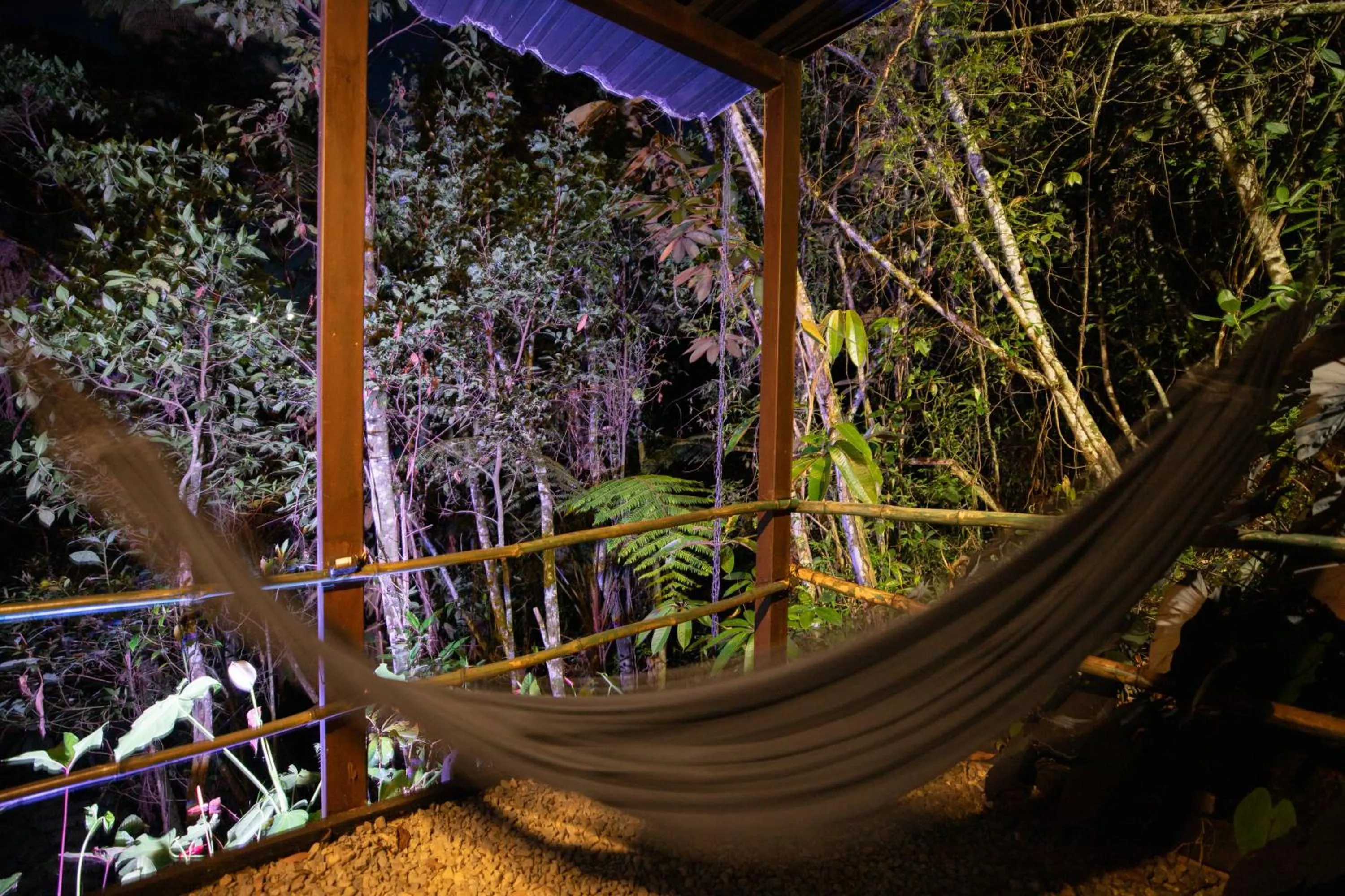 Night in Roots Eco House