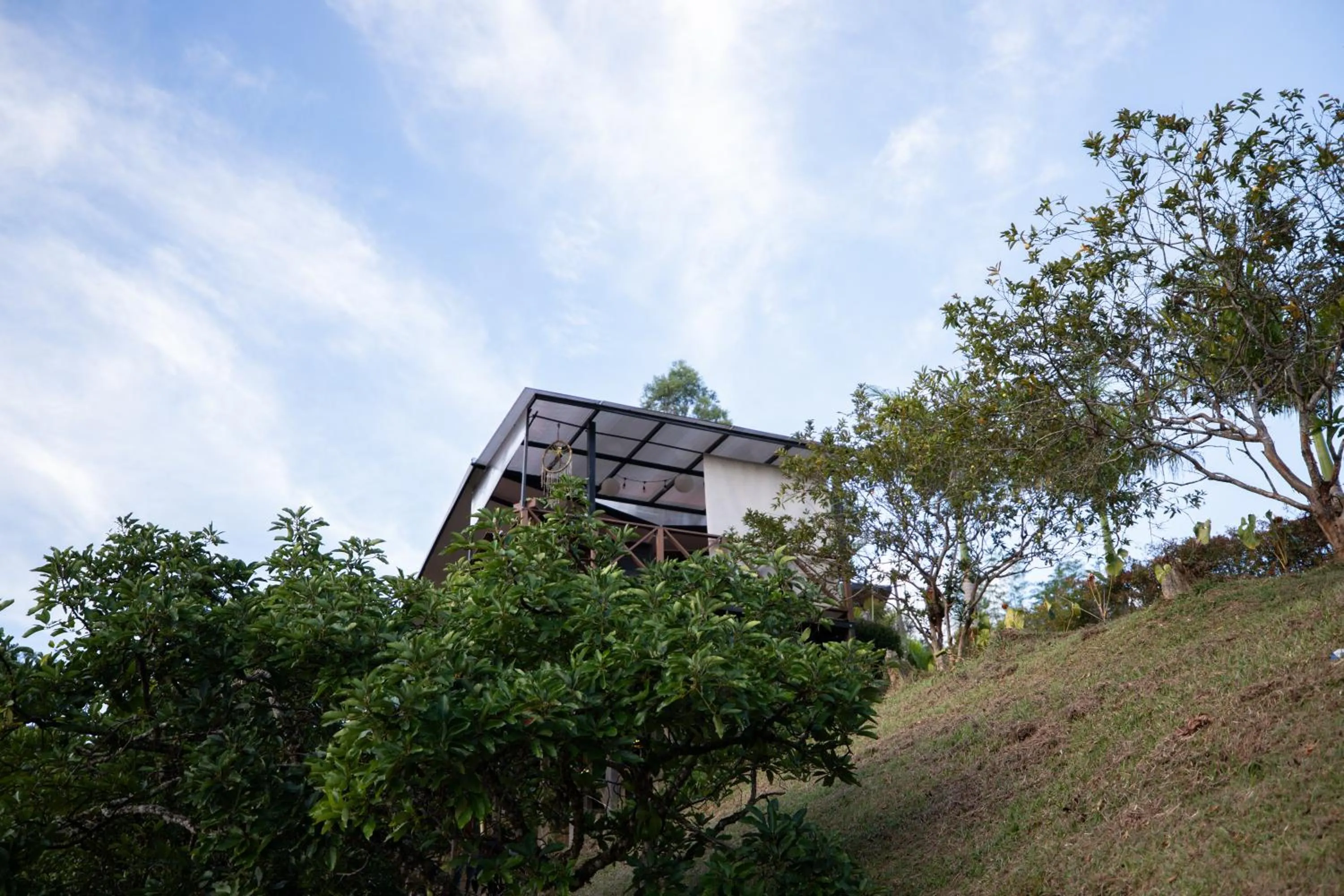 Property building in Roots Eco House