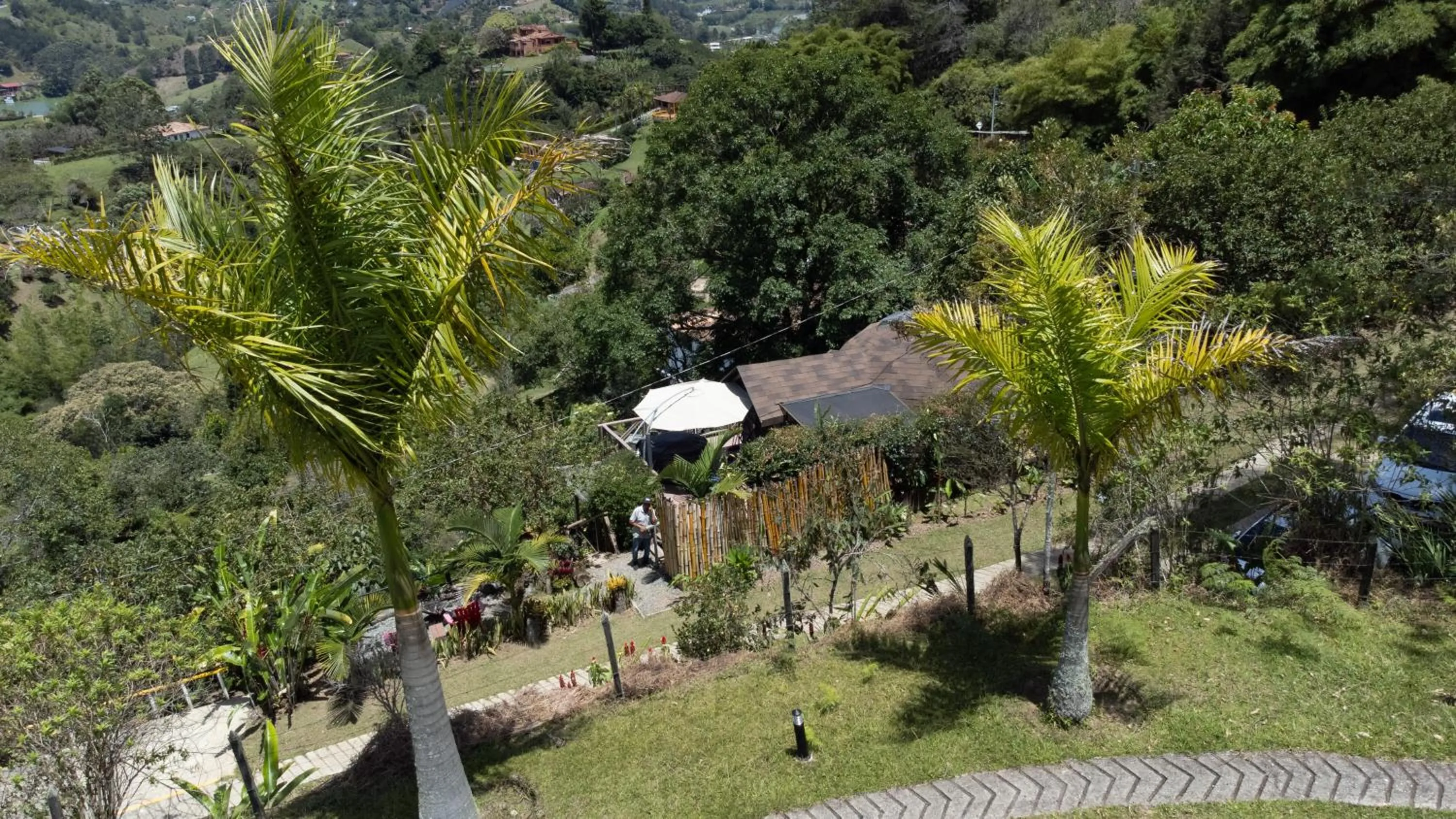 Bird's eye view in Roots Eco House