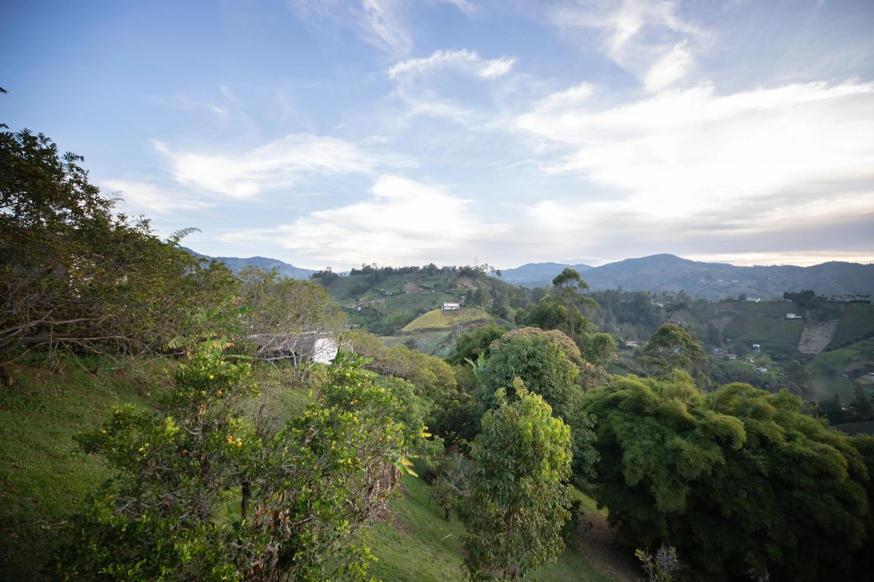 Nearby landmark in Roots Eco House