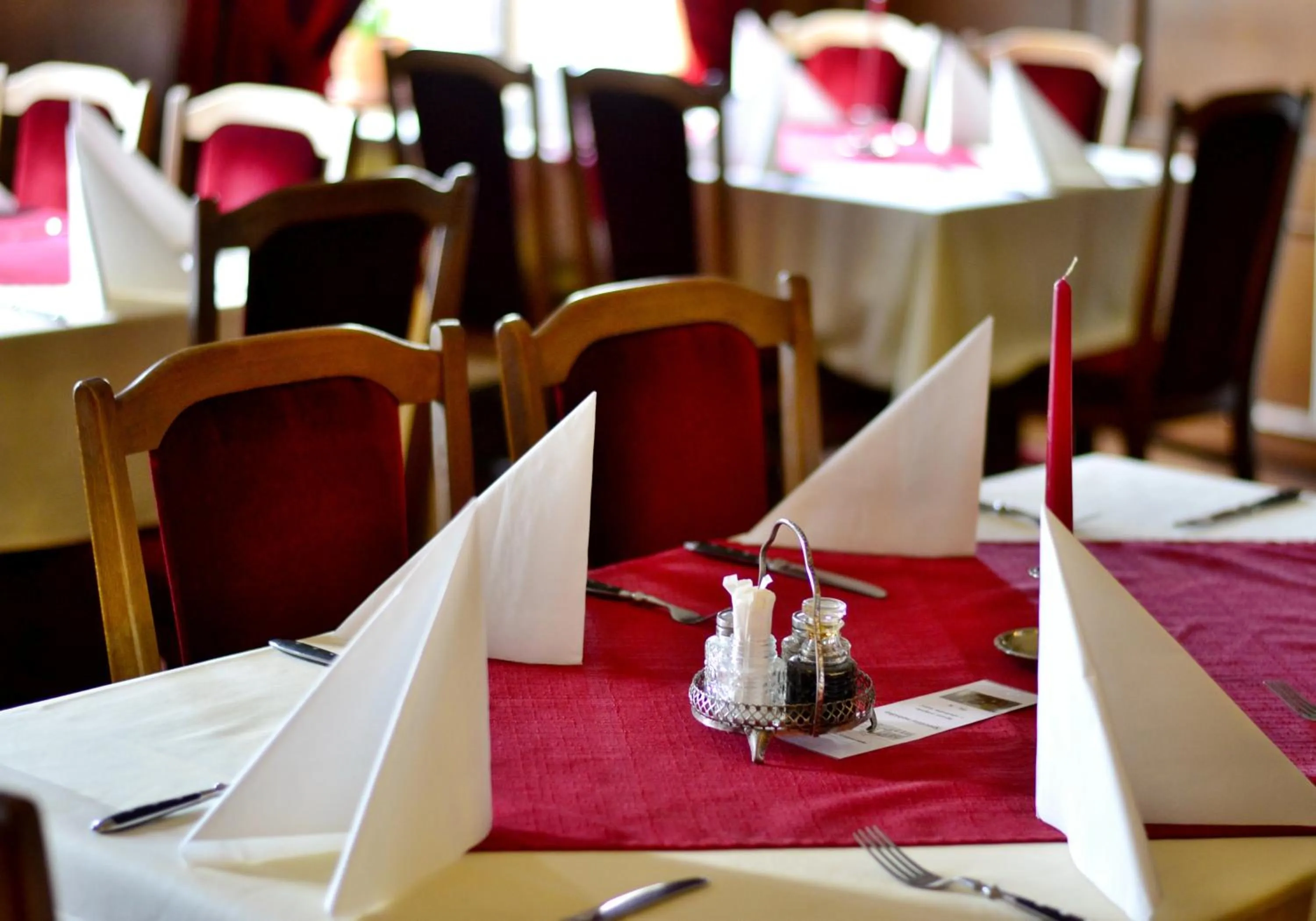 Restaurant/places to eat in Hotel Drnholec