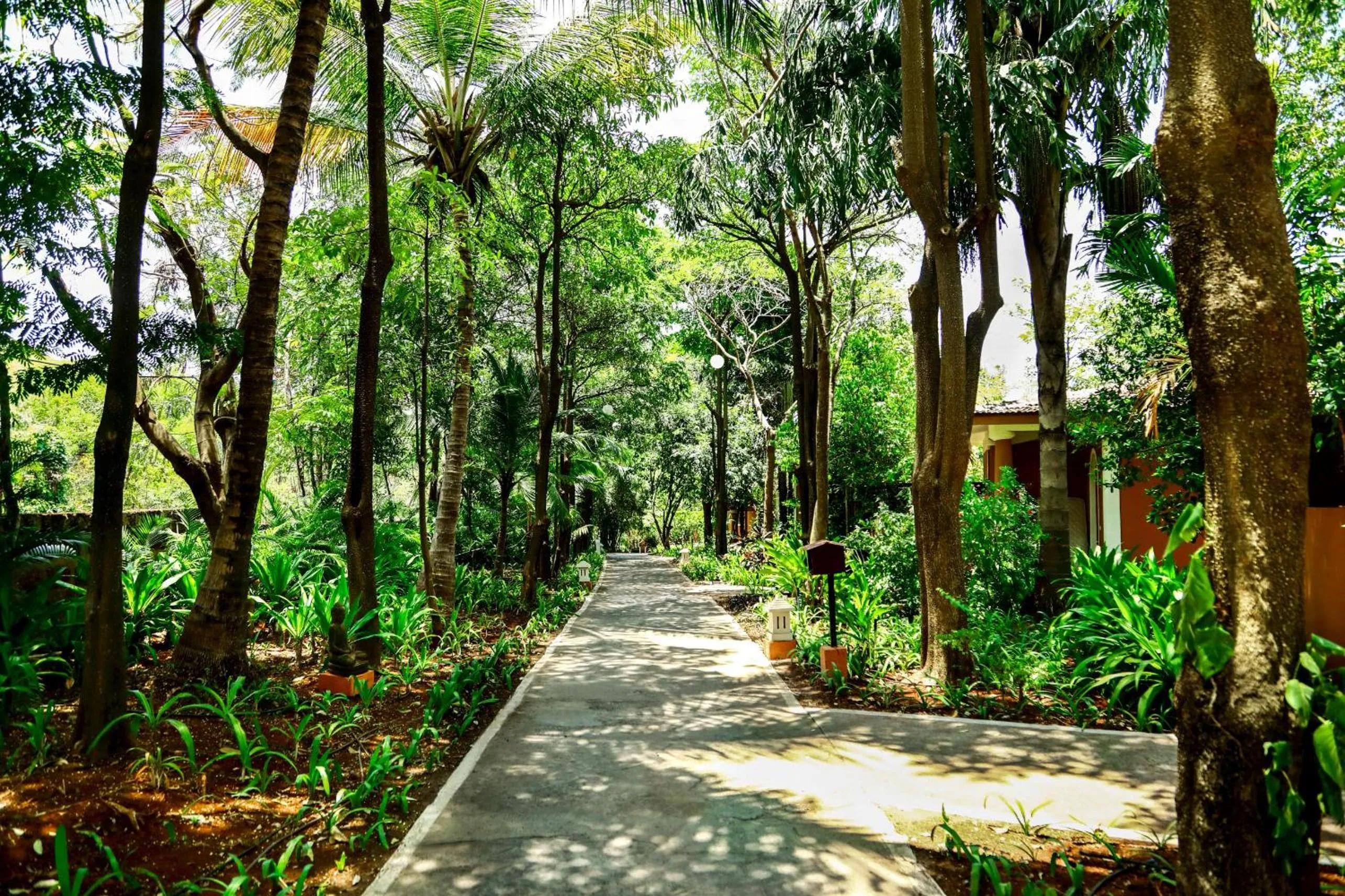 Garden in Blue Ocean The Fern Resort & Spa Ganpatipule