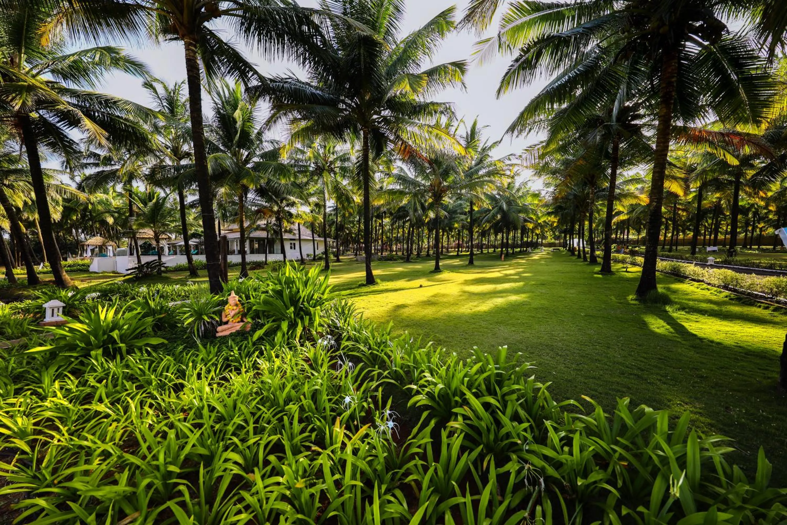 Garden in Blue Ocean The Fern Resort & Spa Ganpatipule