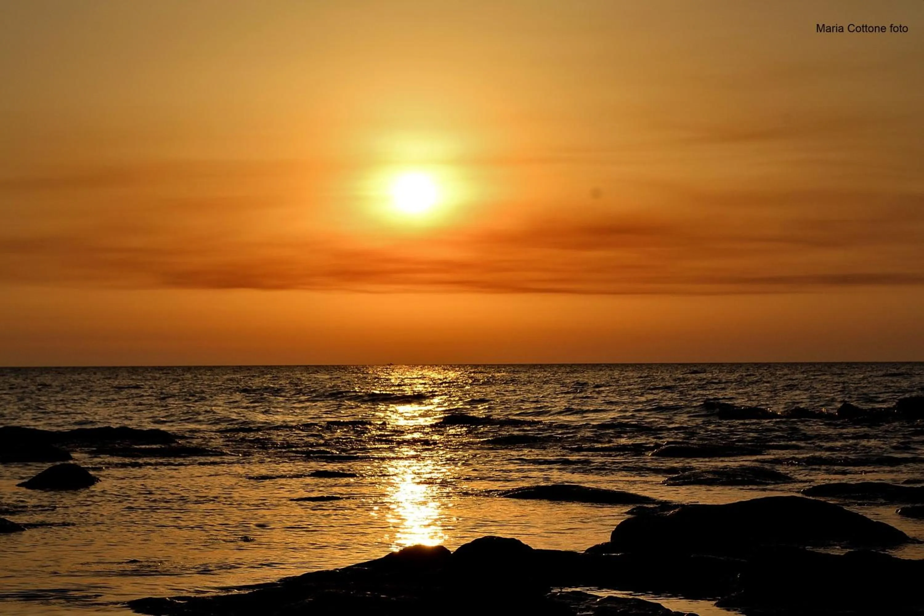 Natural landscape in Vuelle Residence Apartments