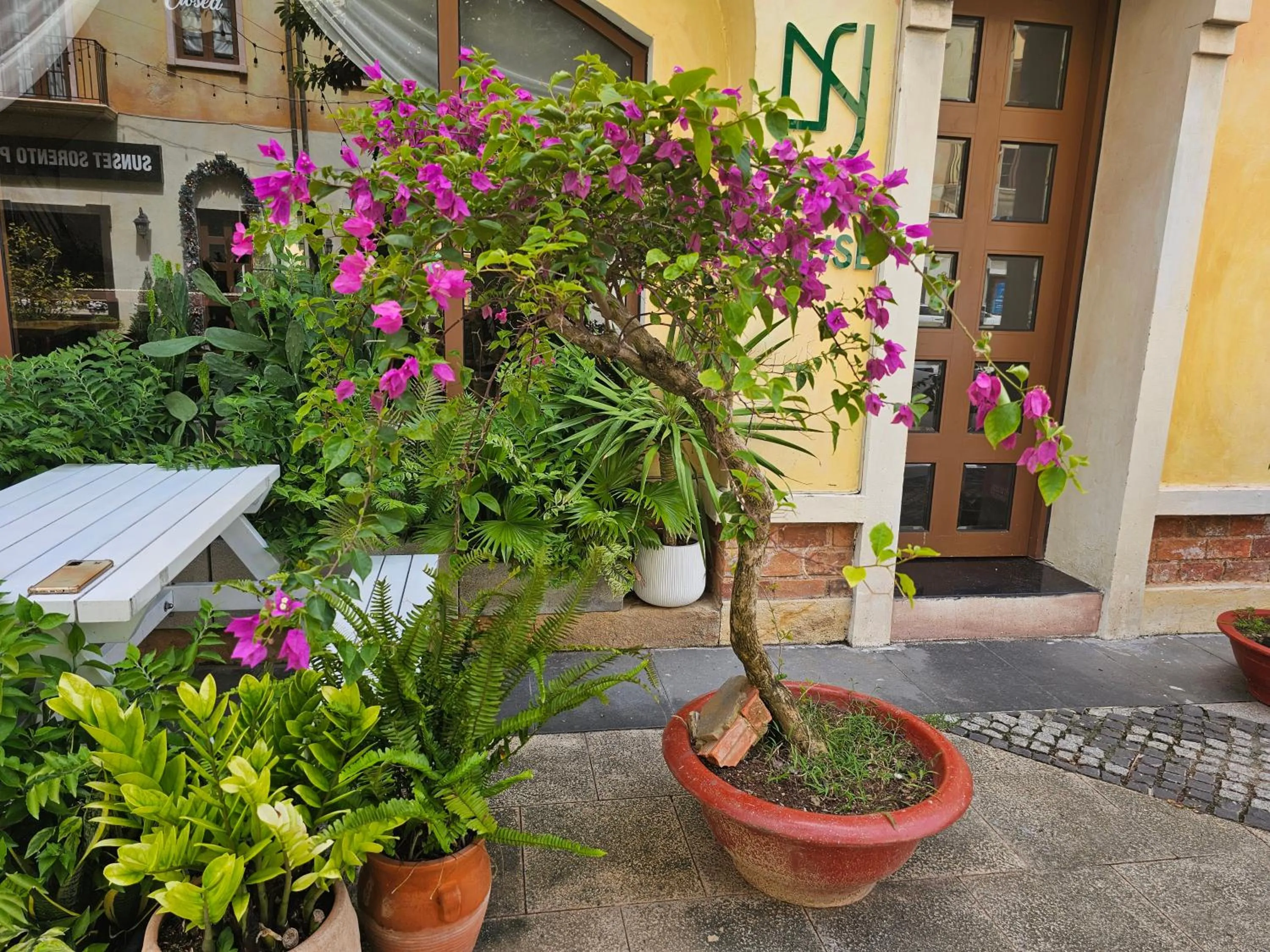 La Maison De Dino Hotels & Apartments Sunset Town Phu Quoc