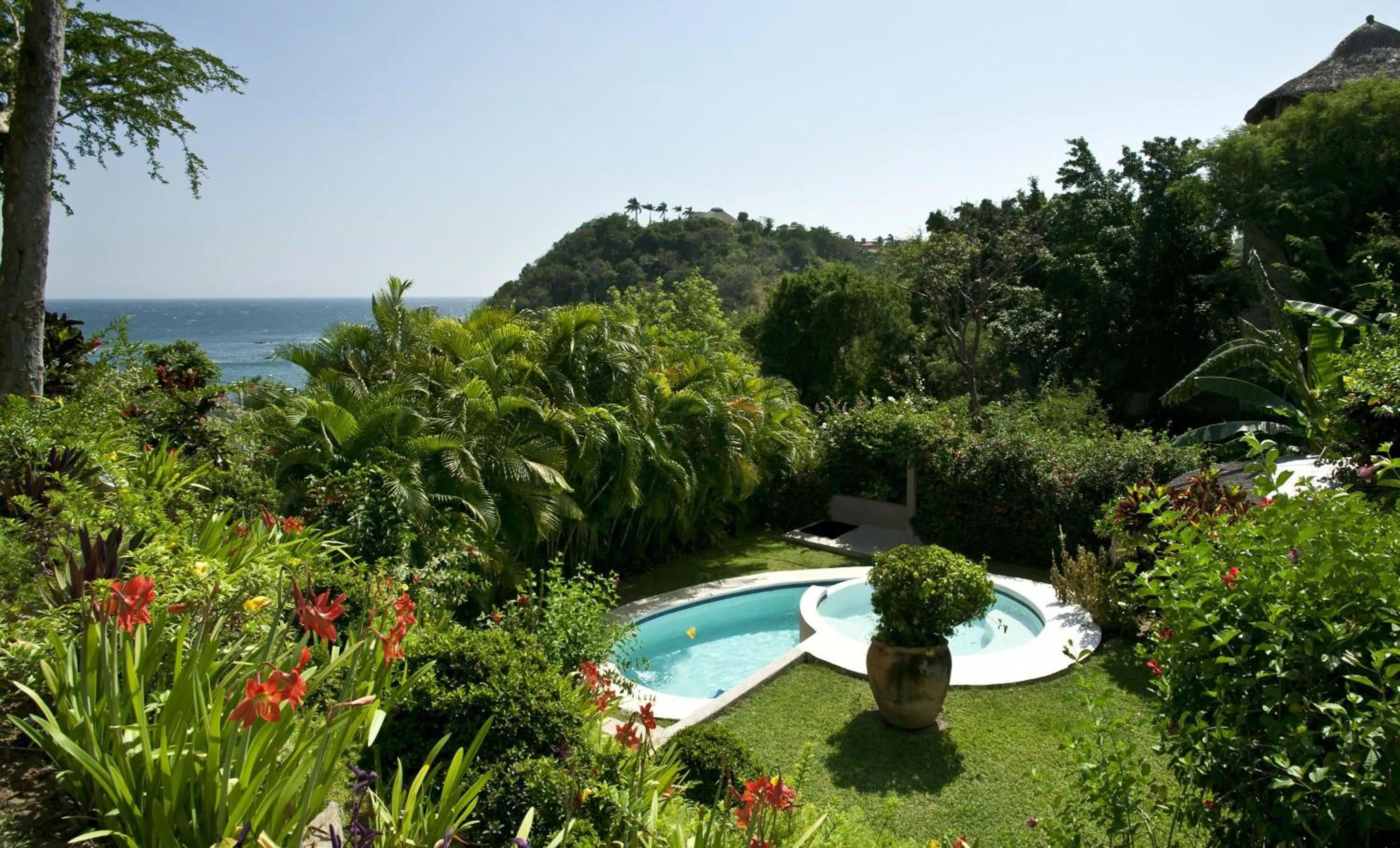 Garden in Agua Azul la Villa