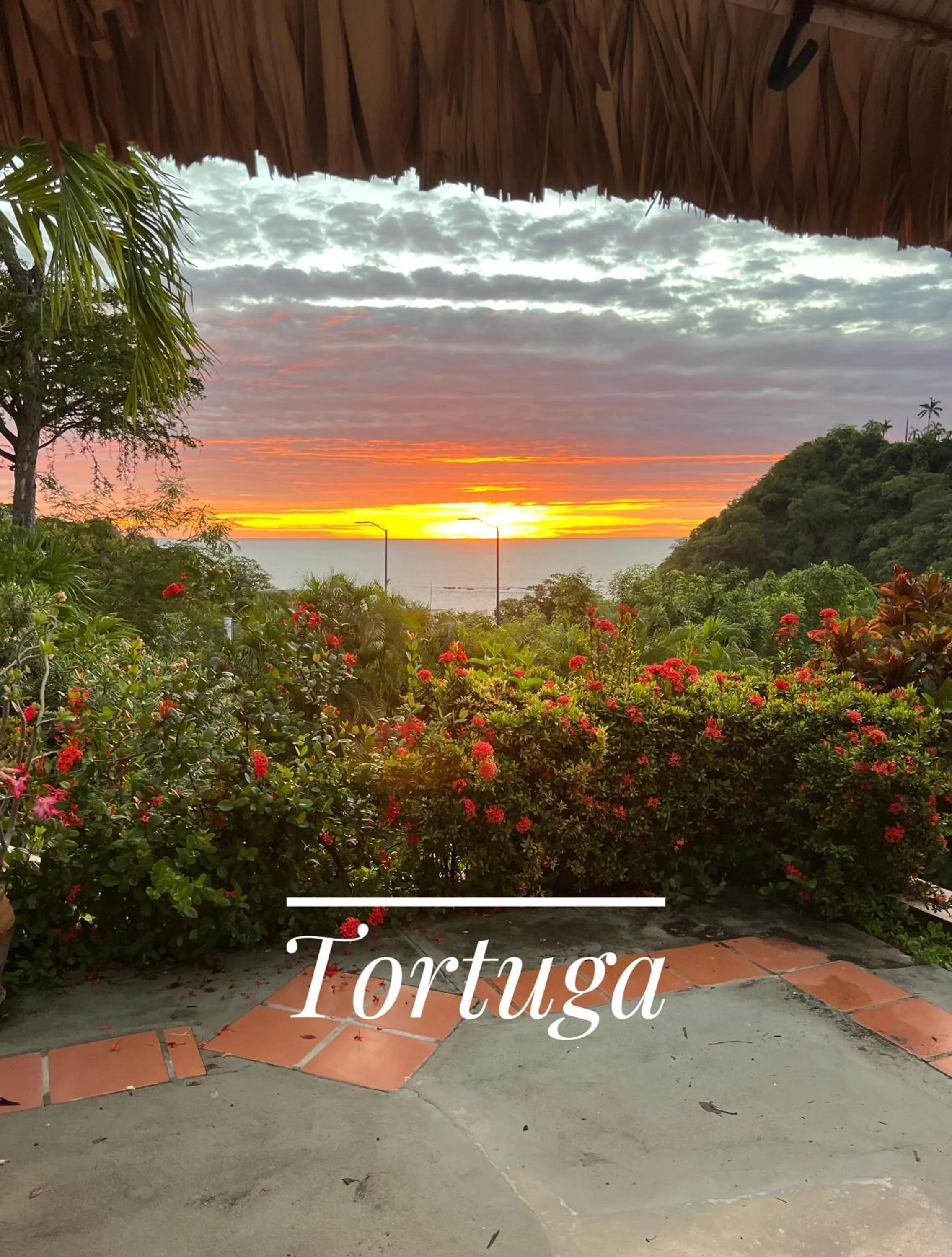 View (from property/room) in Agua Azul la Villa