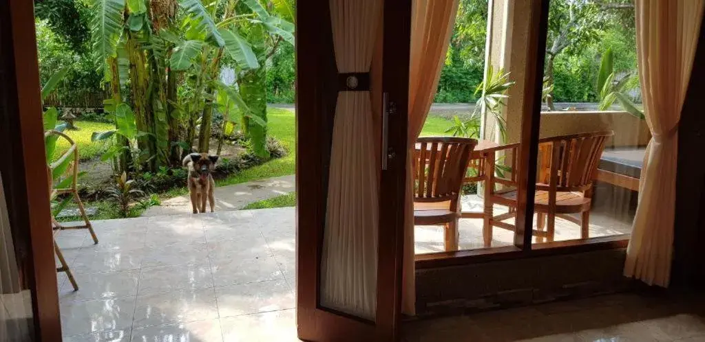 Deluxe Double or Twin Room with Garden View in Mango Tree Inn Deluxe Double or Twin Room with Garden View in Mango Tree Inn