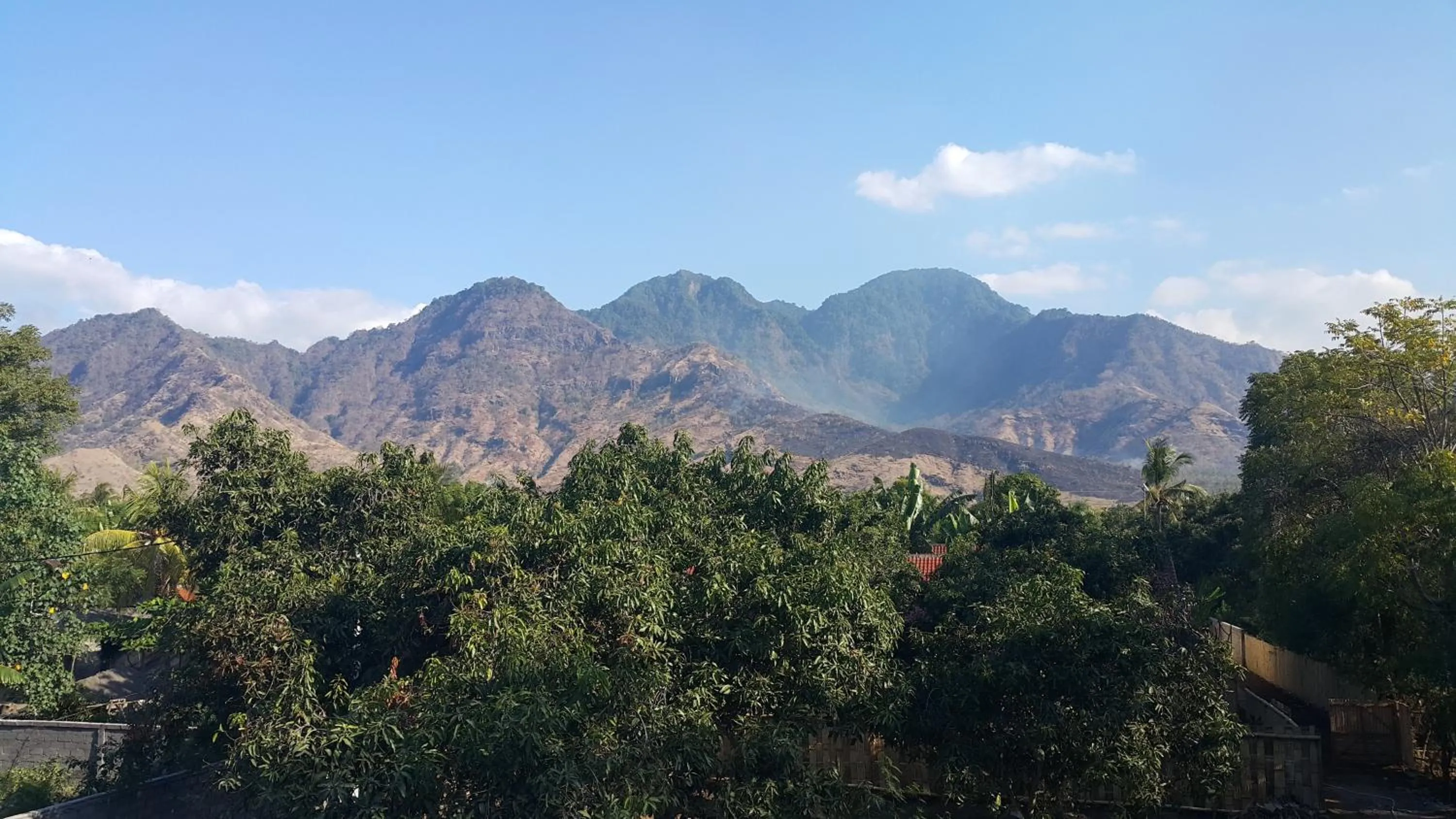 Day in Mango Tree Inn