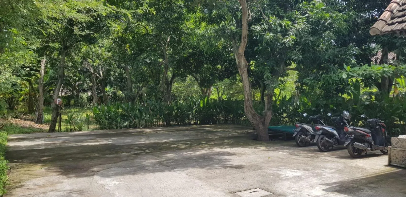 Parking in Mango Tree Inn