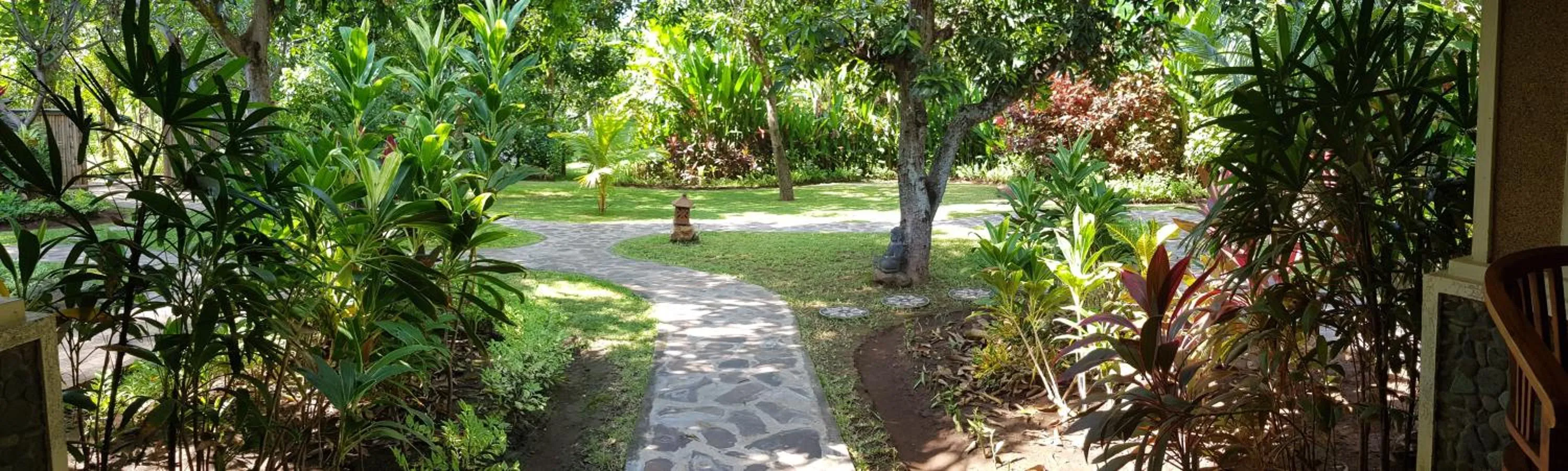 Garden in Mango Tree Inn