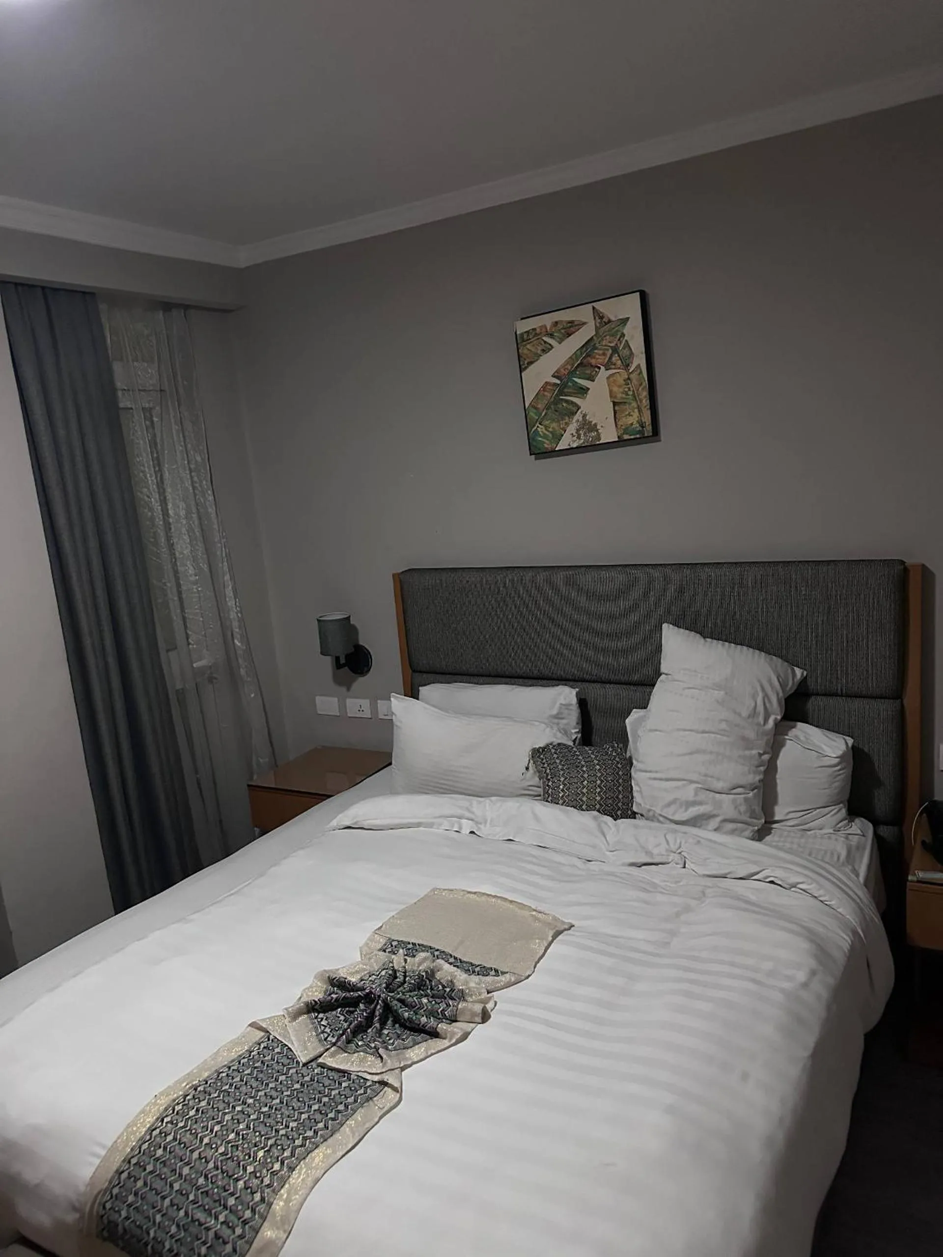 The Sheger Addis Blue Luxury Hotel