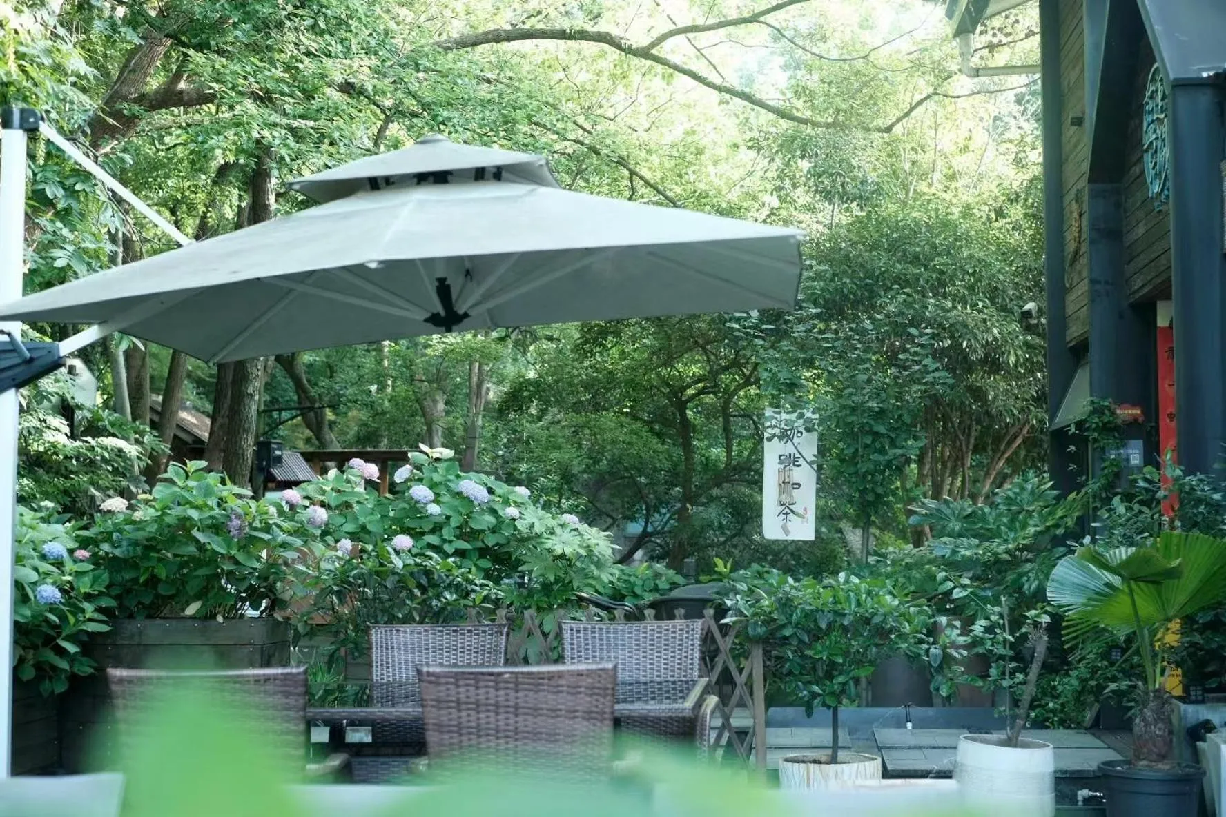 Blooming Lotus Hostel