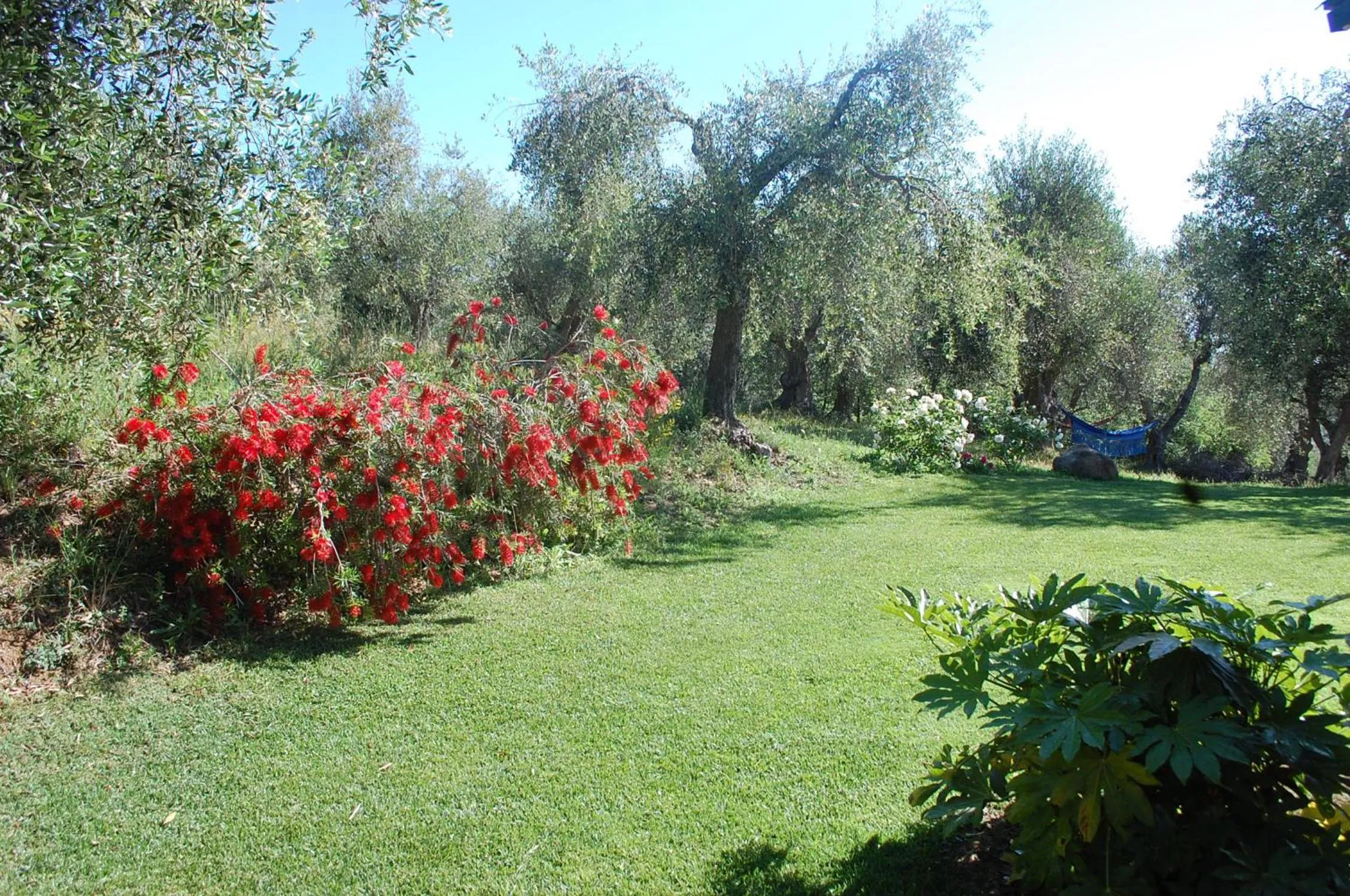 Facade/entrance in Il Pino