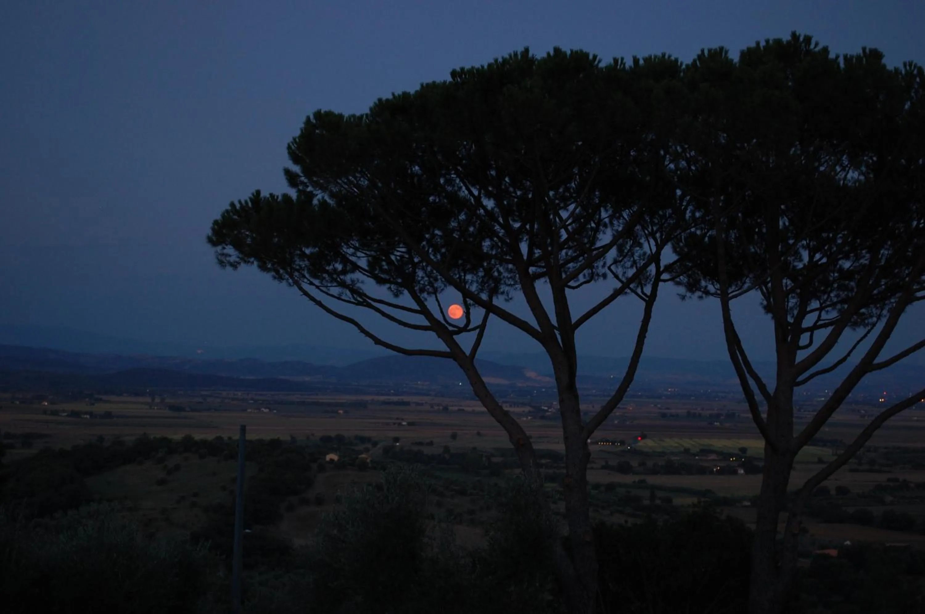 View (from property/room) in Il Pino