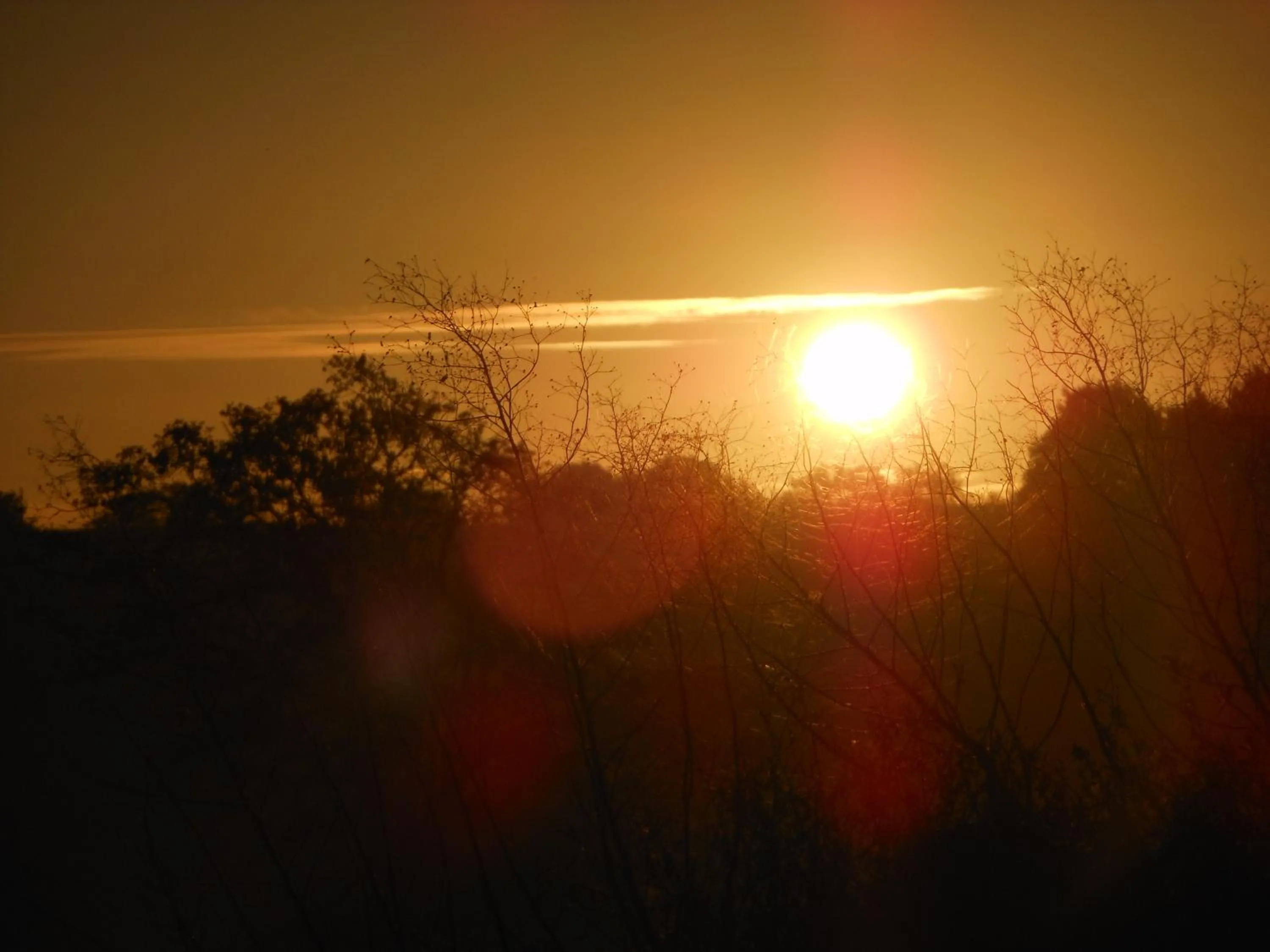 View (from property/room) in Chambre D'hôtes La Basse Gougeonnière