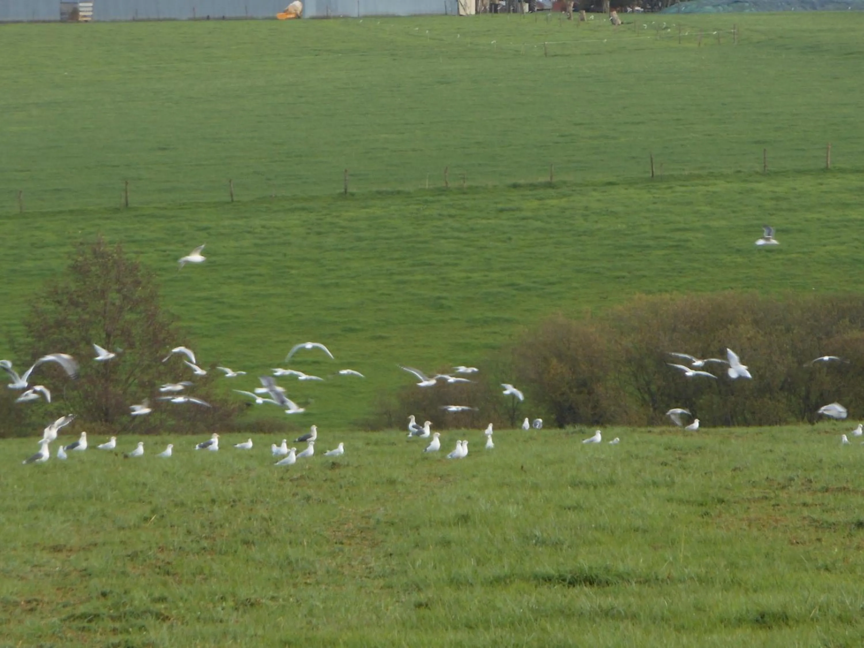 View (from property/room) in Chambre D'hôtes La Basse Gougeonnière
