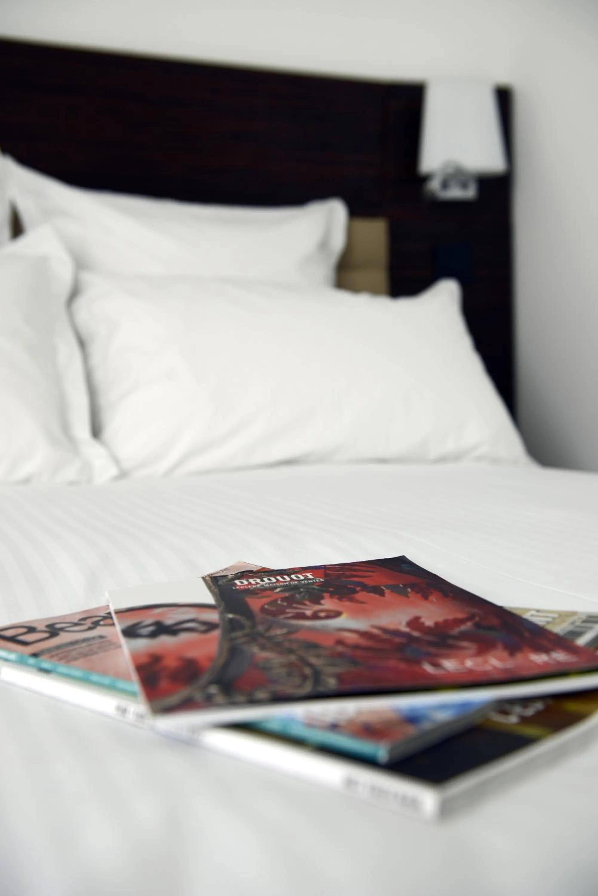 Bed in Hôtel & Appartements Monsigny