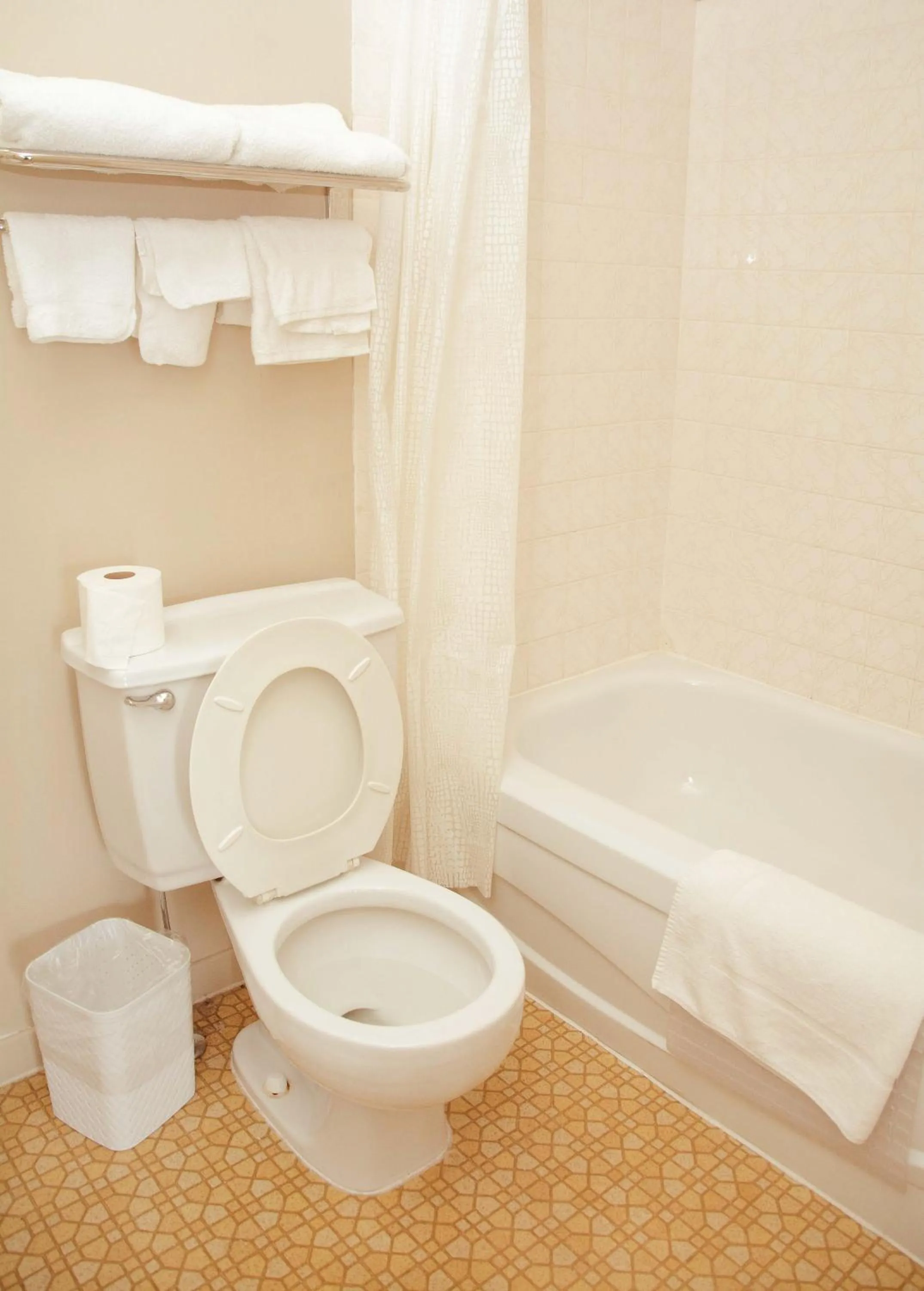 Toilet in Travels Inn Victoria County