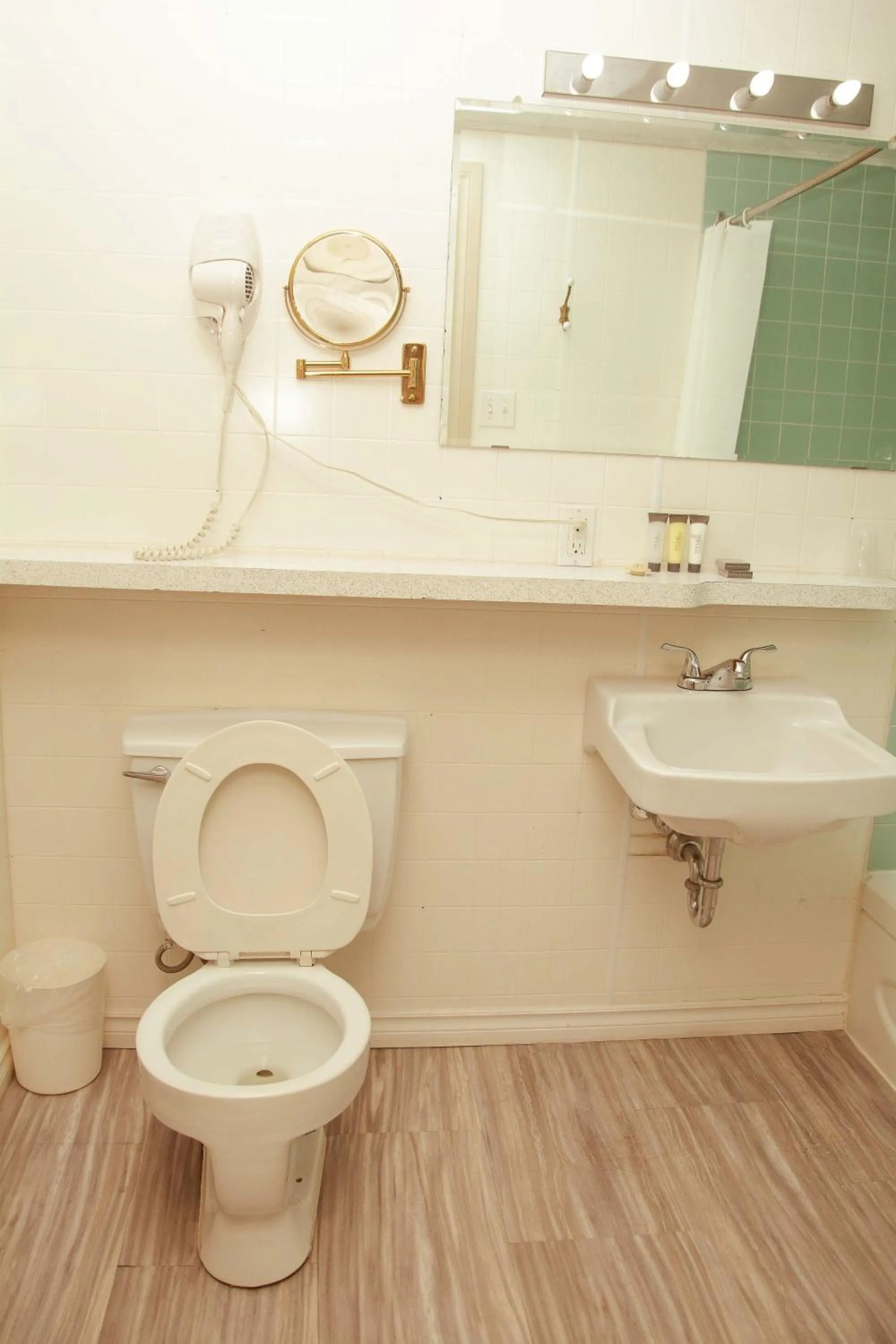 Toilet in Travels Inn Victoria County