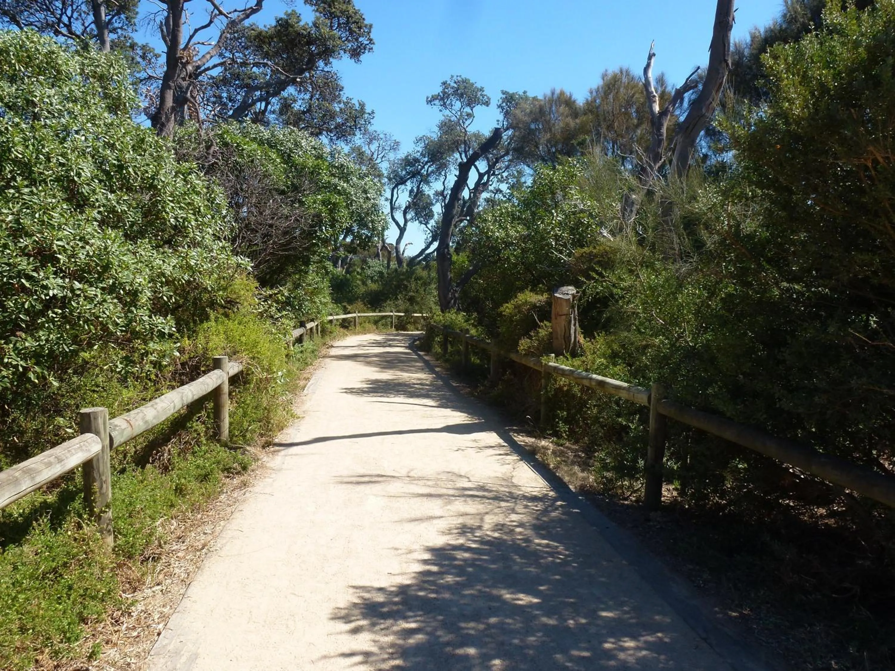 Hiking in Dromana Beach Getaway