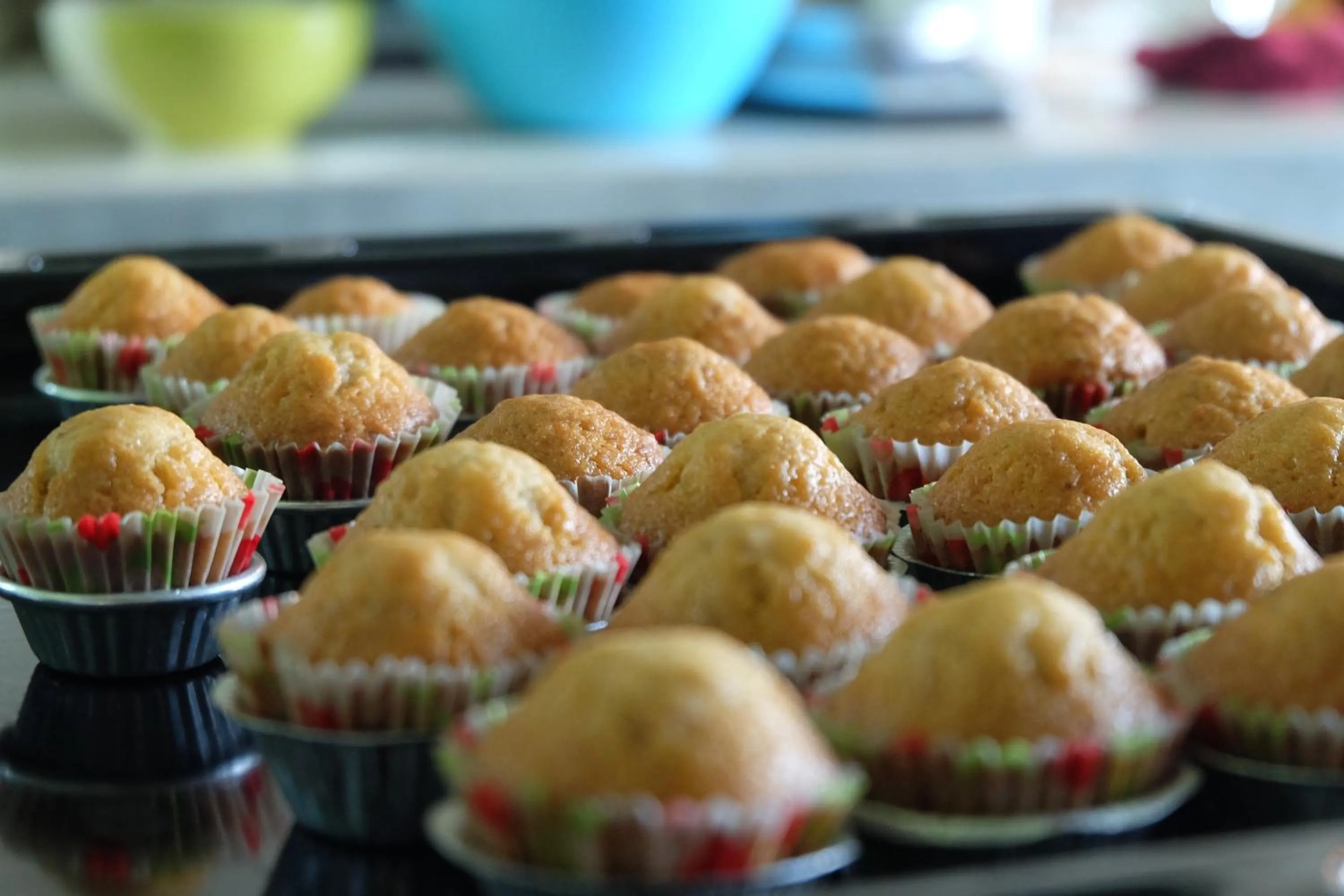 Food close-up in Samui Poshtel