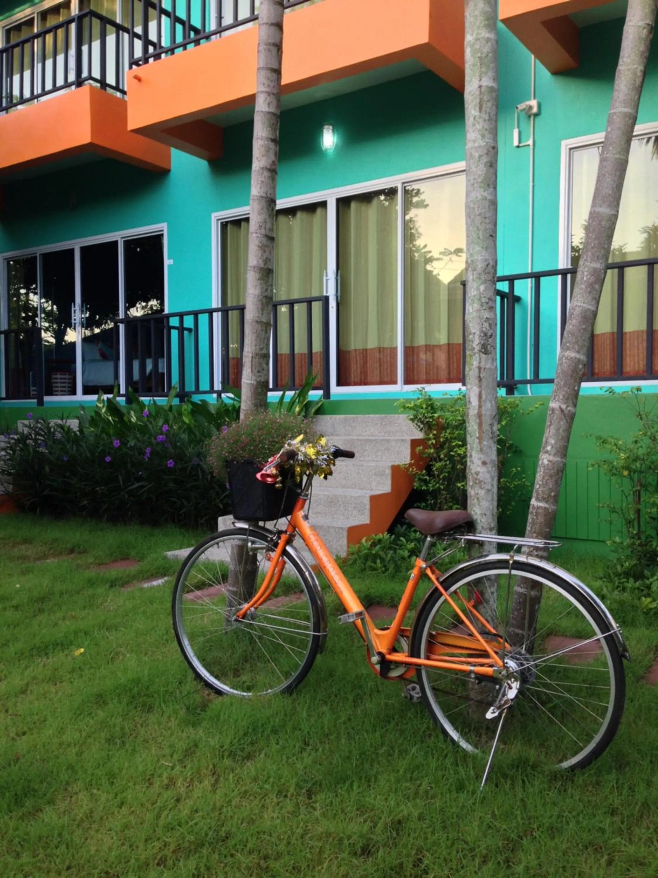 Garden in Samui Poshtel