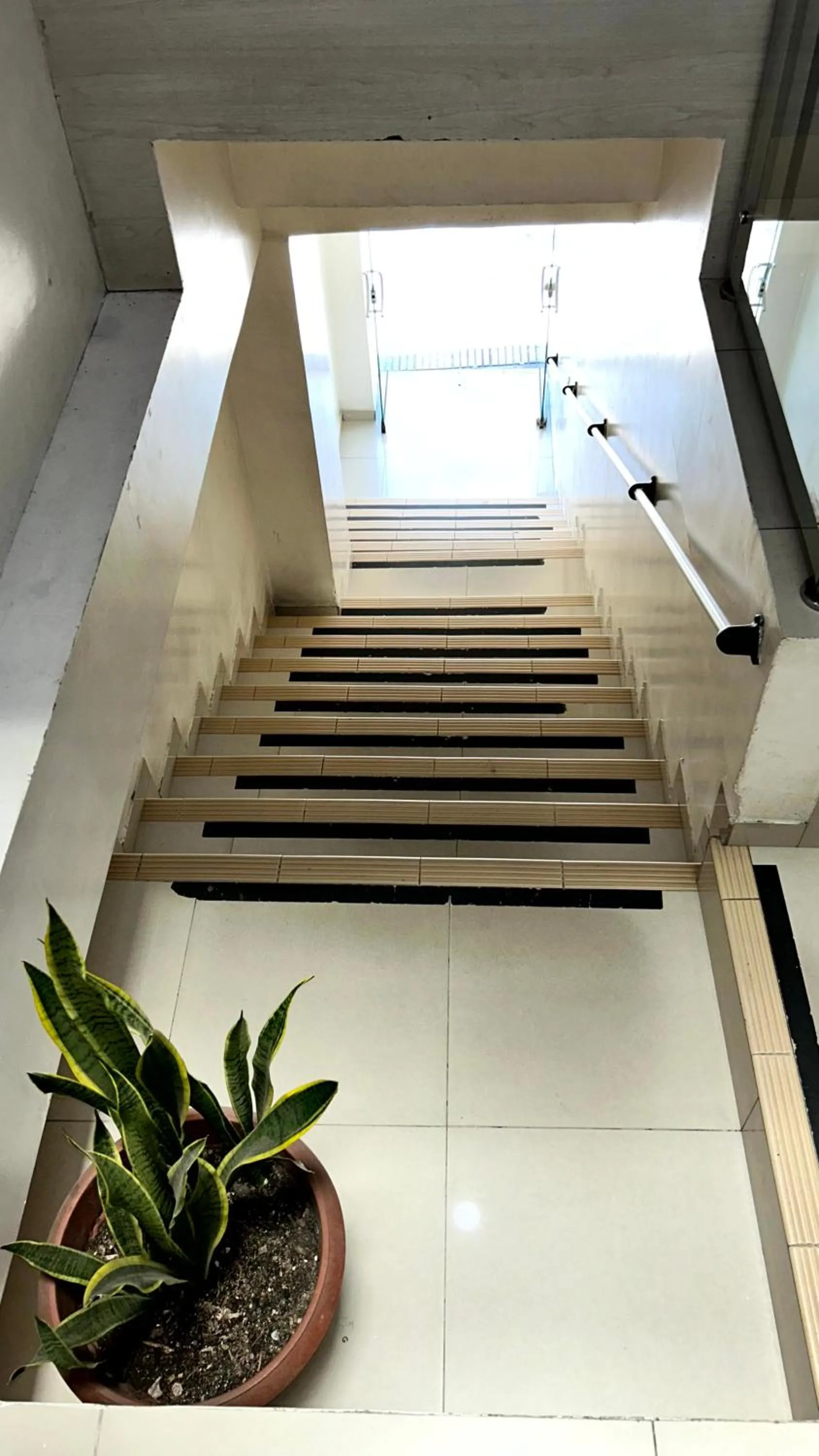 Property building in Hotel Imperio