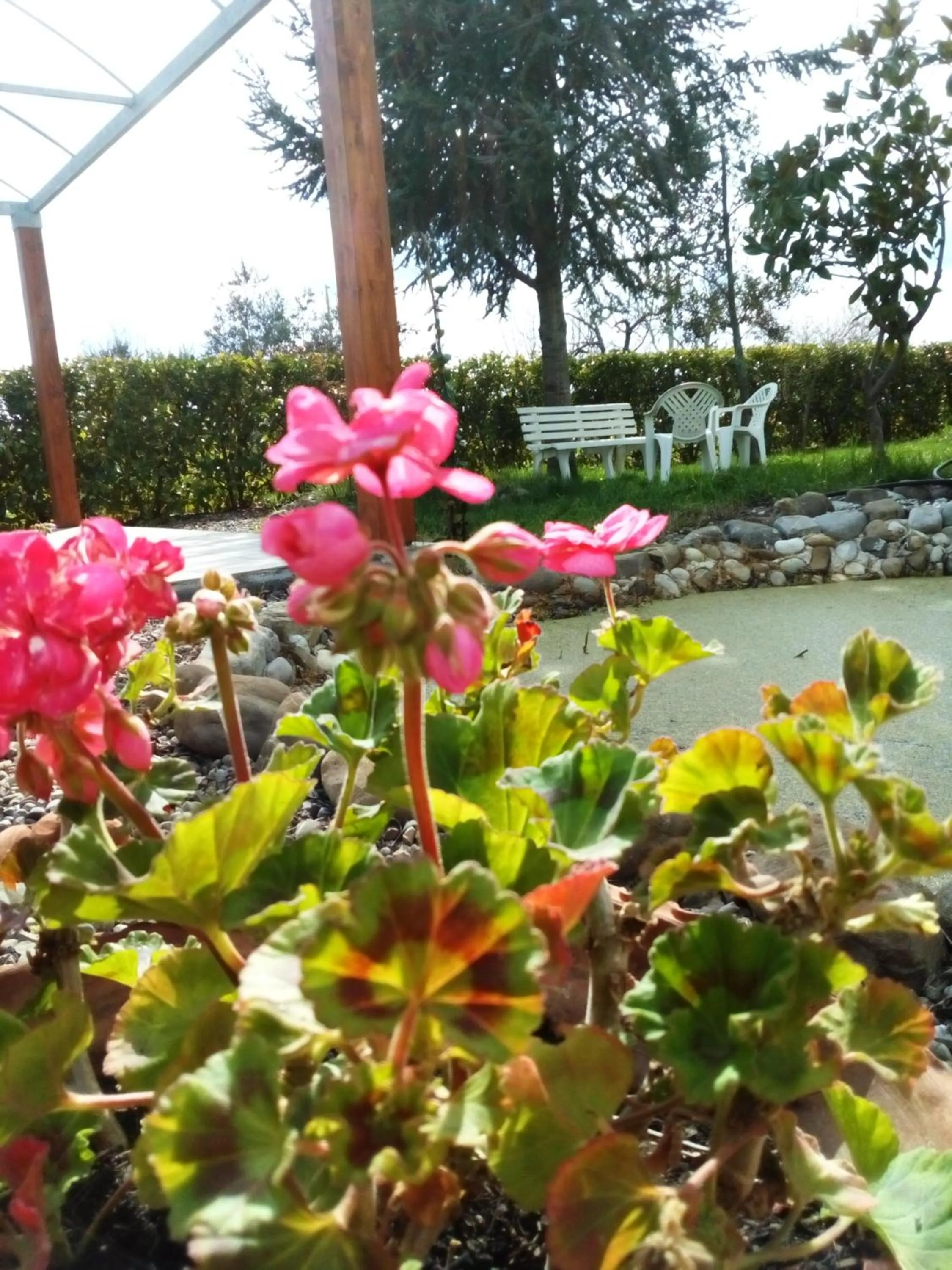 Garden view in DIMORA ANTONIANNA in VALLE D'ITRIA