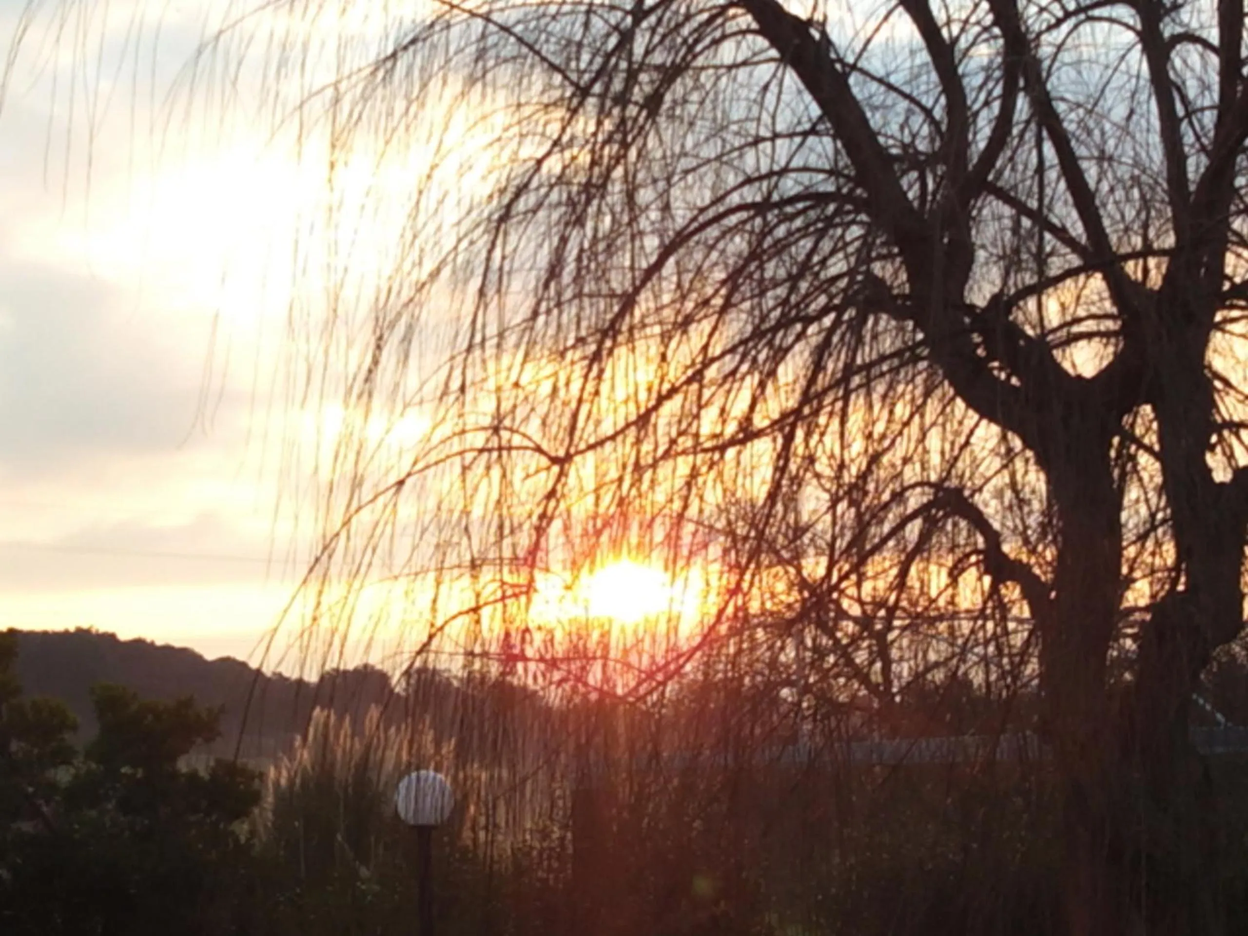 Garden view in DIMORA ANTONIANNA in VALLE D'ITRIA