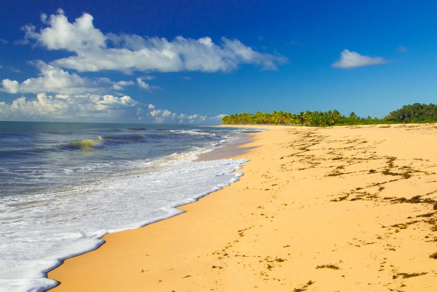 Beach in Rio Da Barra Villa Hotel