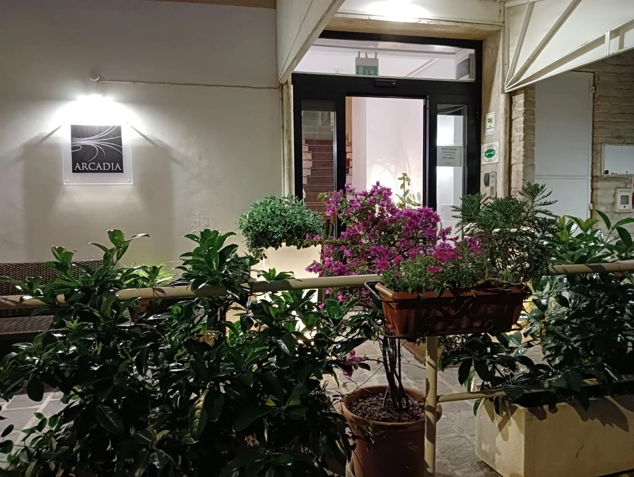 Property building in Hotel Arcadia