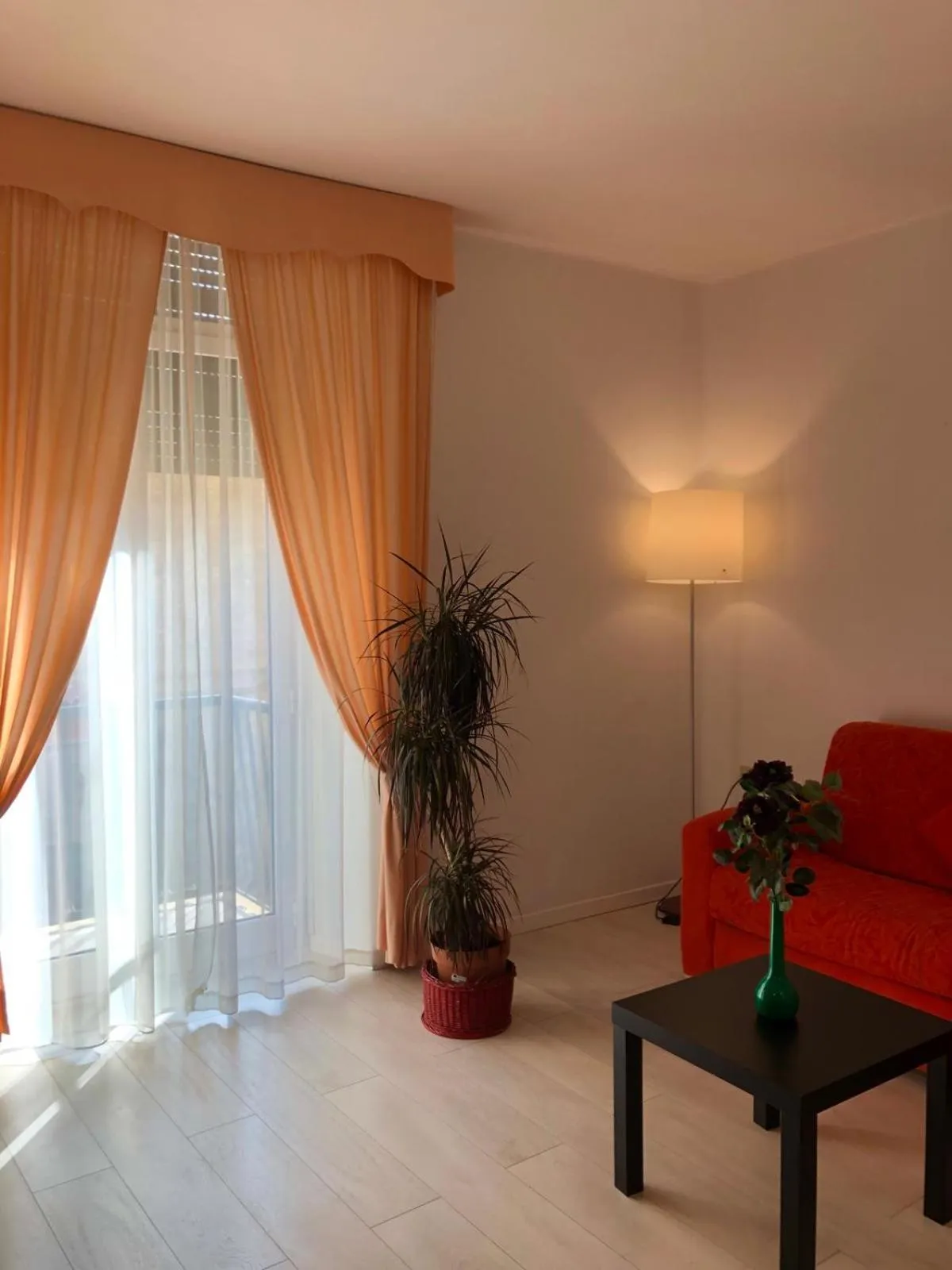 Area and facilities in Hotel Arcadia