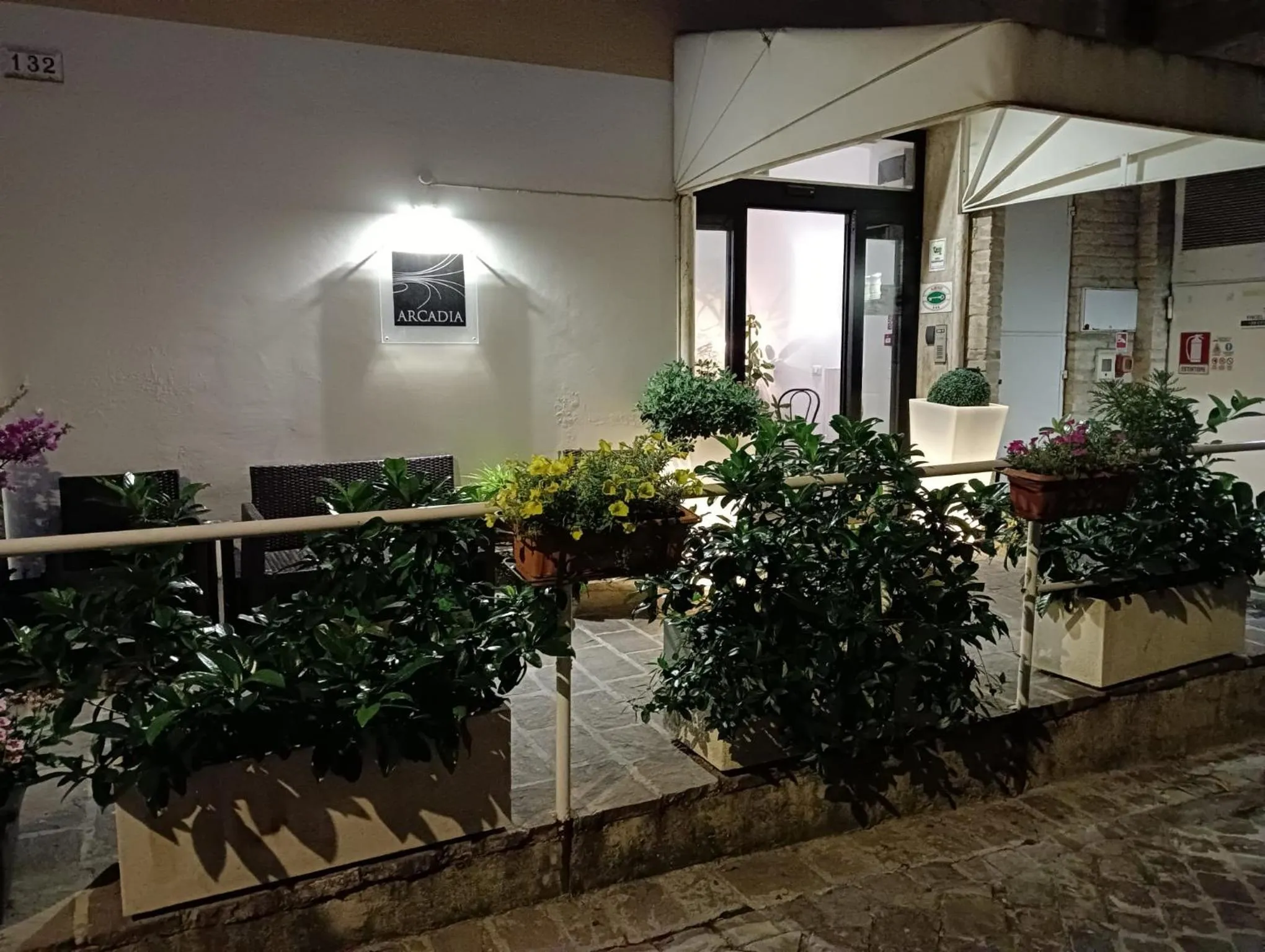 Night in Hotel Arcadia